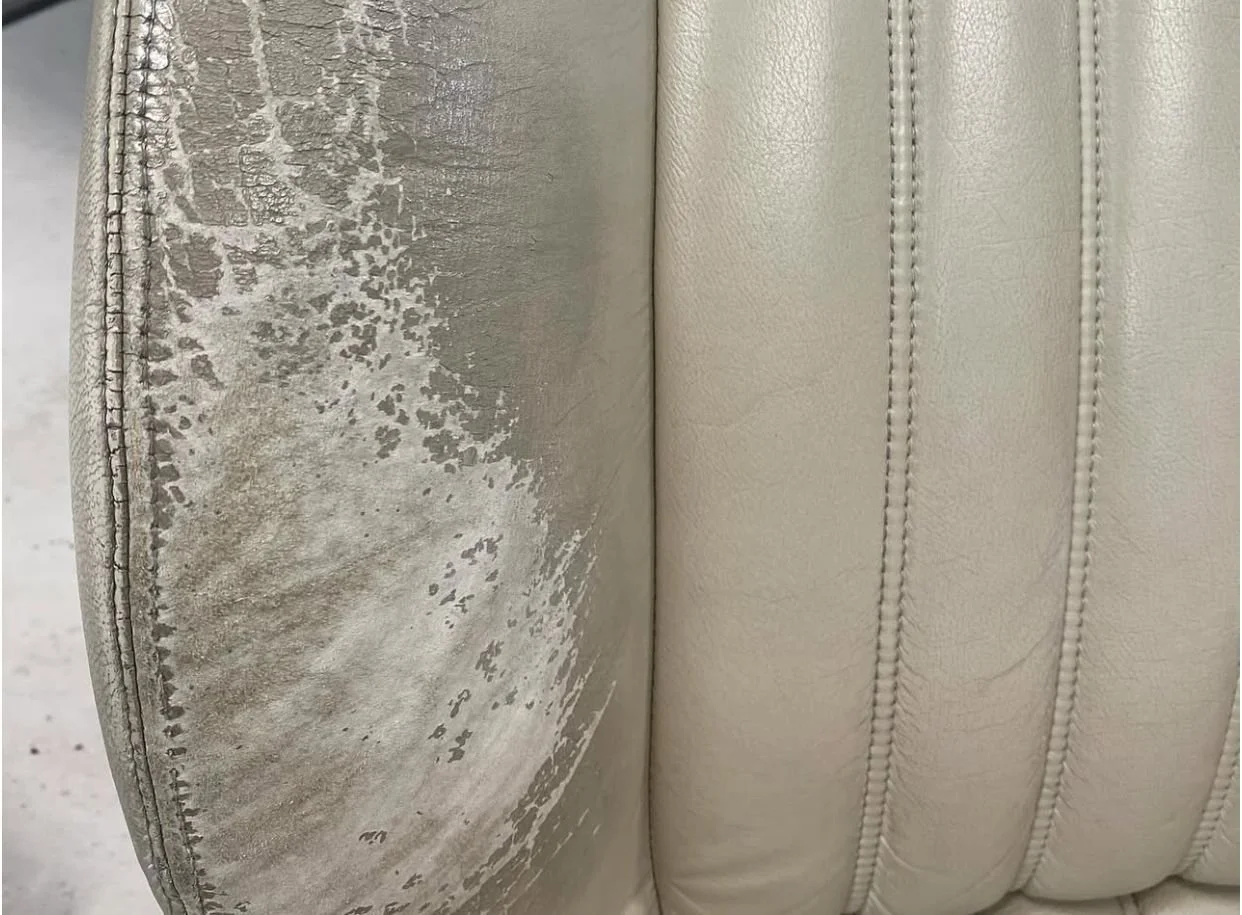 WhatsApp Image 2025-05-08 at 11.40.26.jpeg