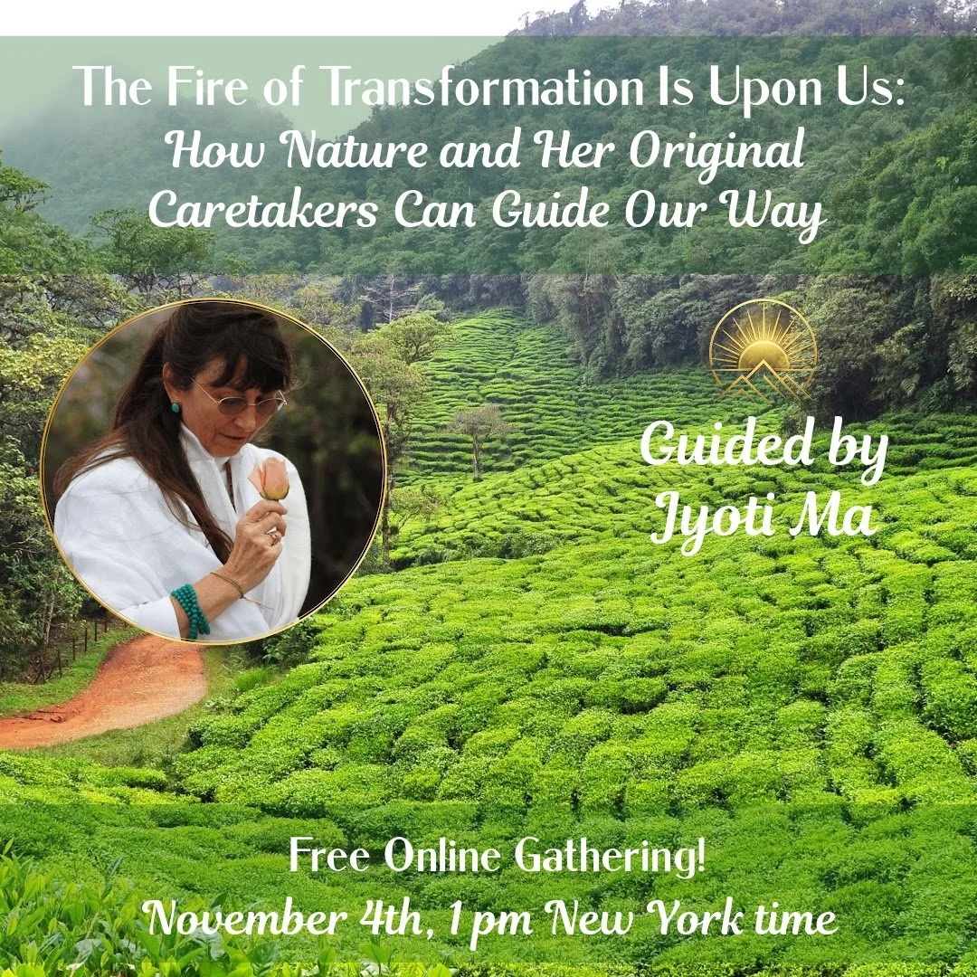 Jyoti Ma Webinar 1080 x 1080 Anna's copy (1).jpg
