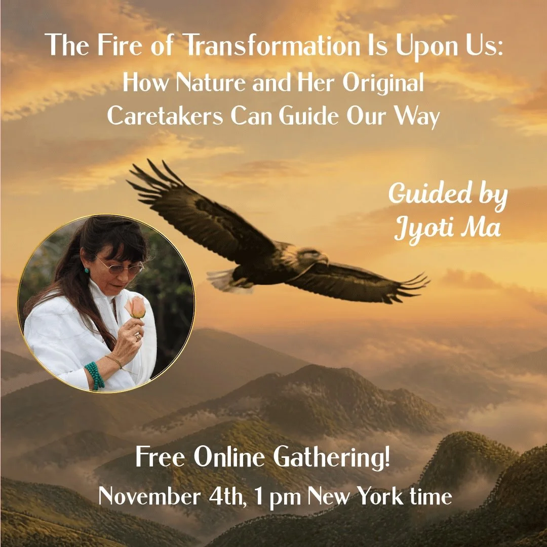 Jyoti Ma Webinar 1080 x 1080 Anna's copy.jpg