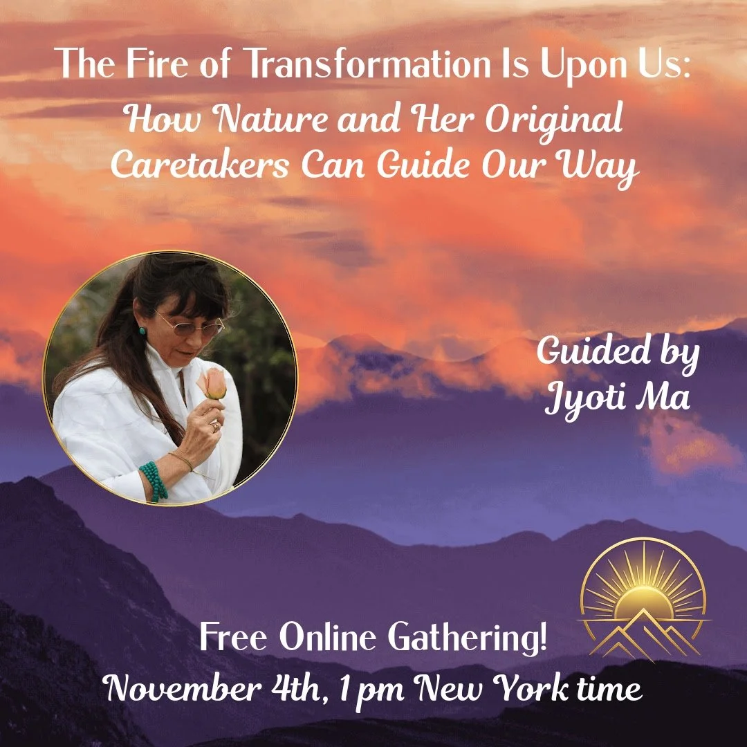 Jyoti Ma Webinar 1080 x 1080.jpg