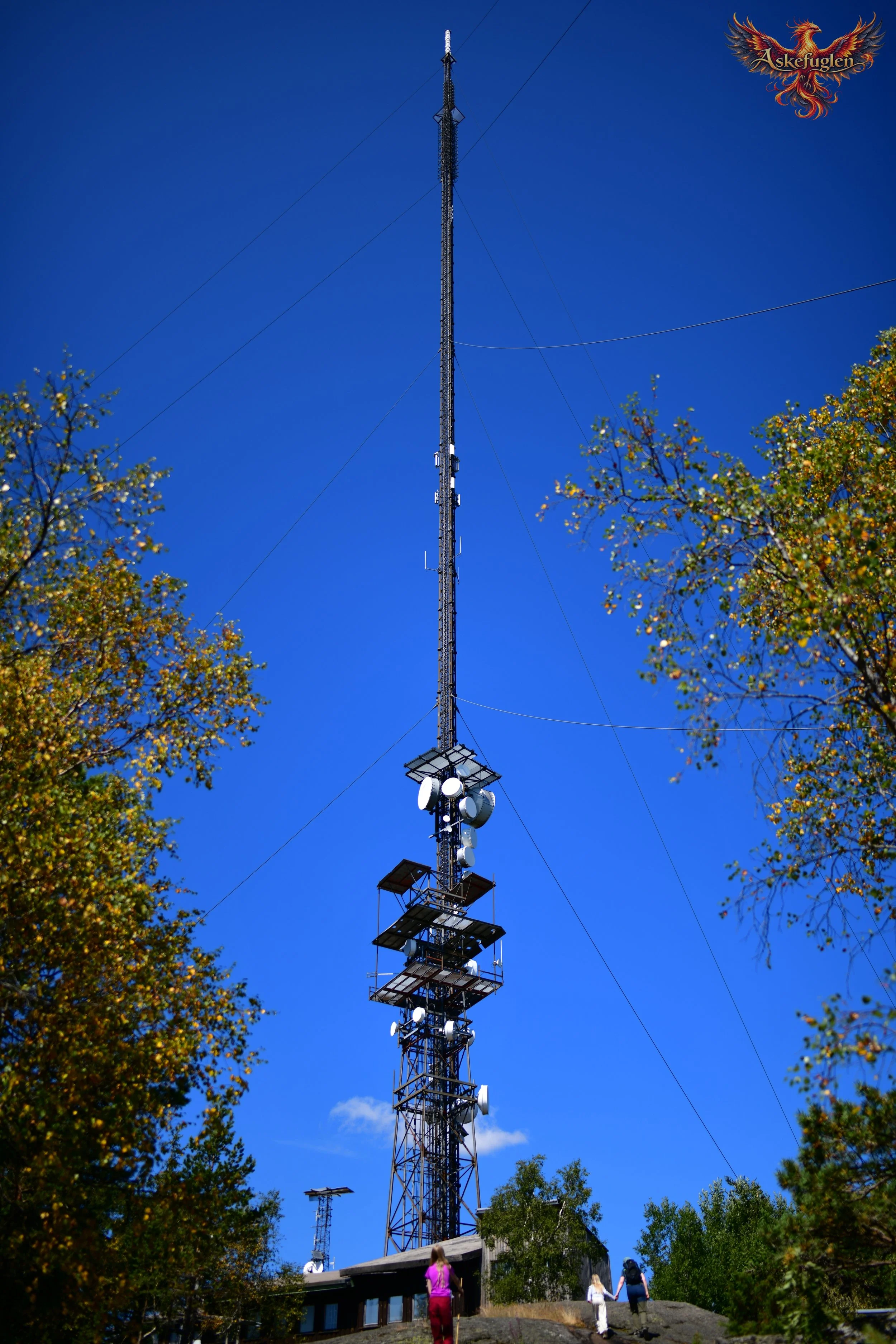 PEL_6352 AF logo Resize.jpg