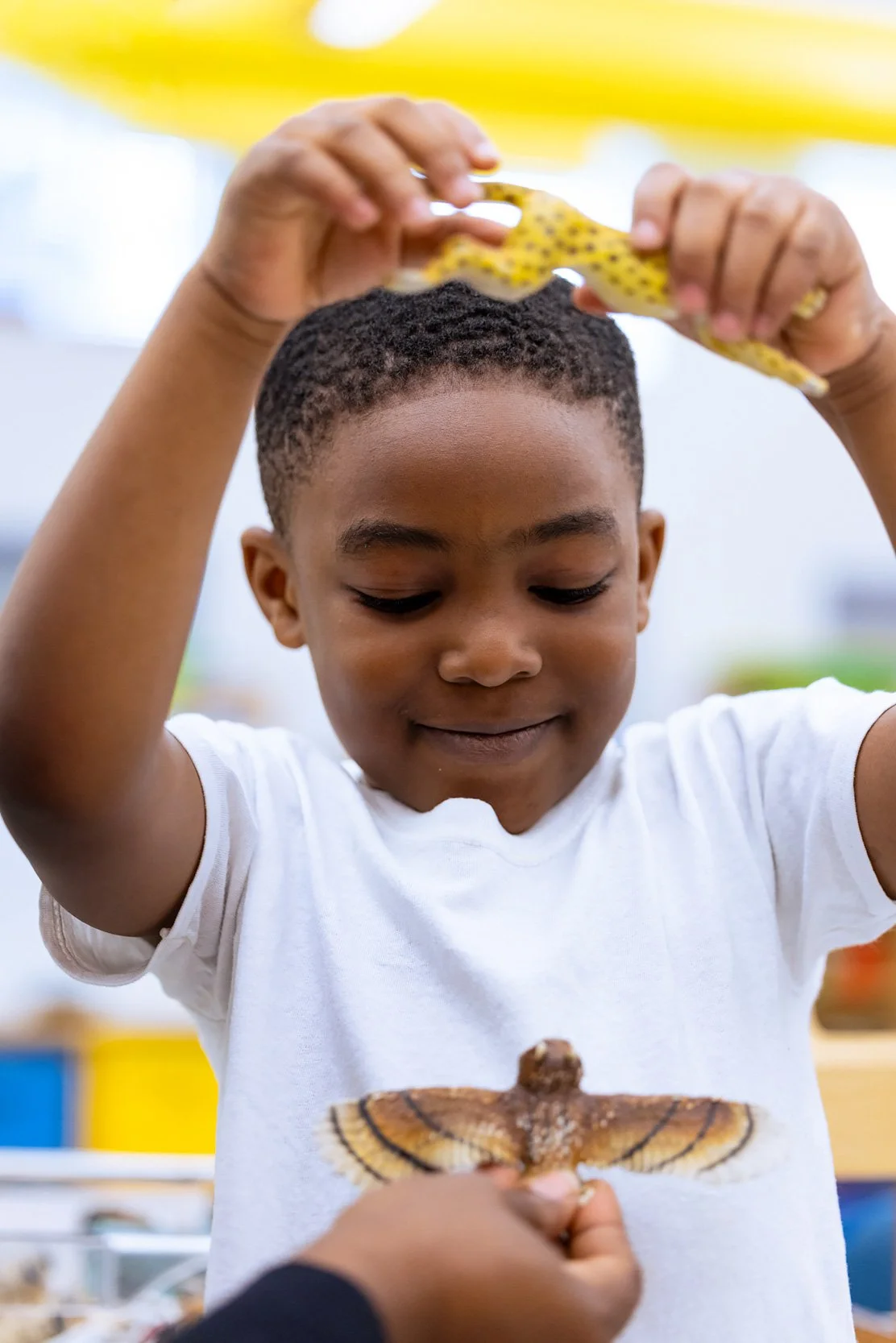 Child raising hands while playing with animal figures during classroom activity.
