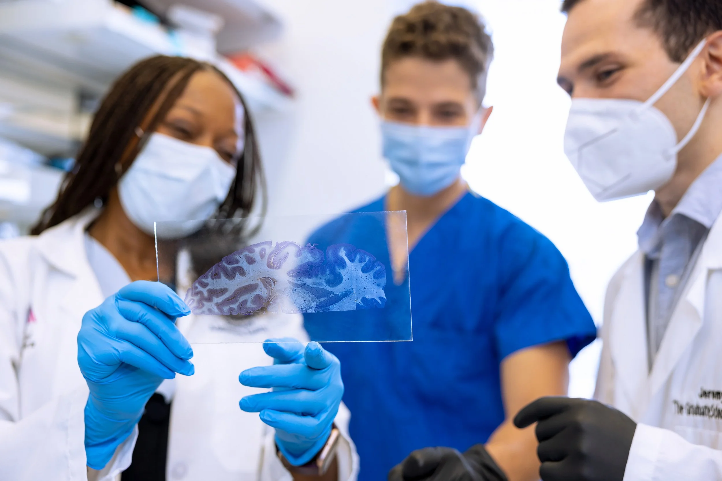 Medical team with masks reviewing a microscopic plate in a lab environment. 
