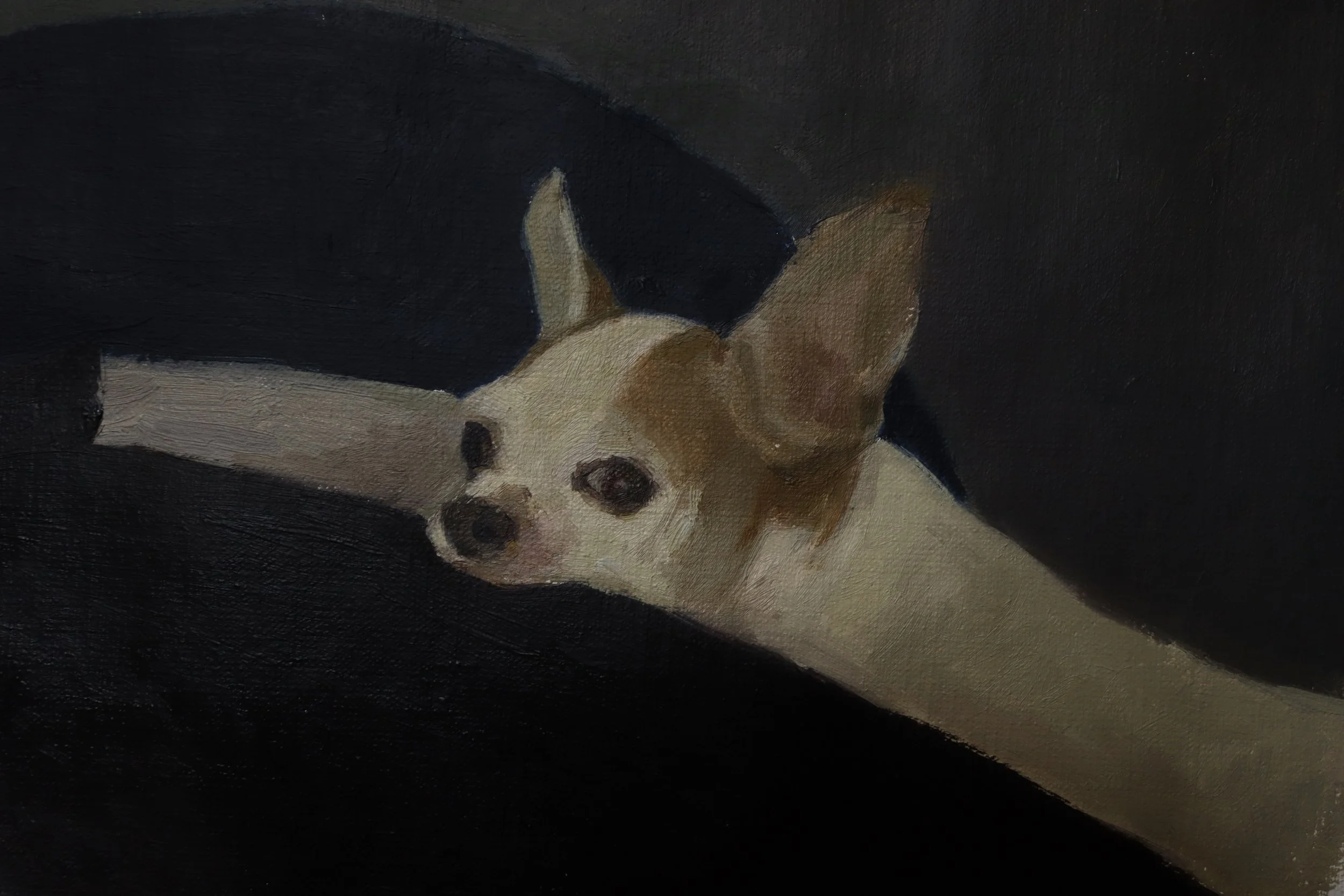 En la siesta Elena Burcio Oil painting 2026.JPG