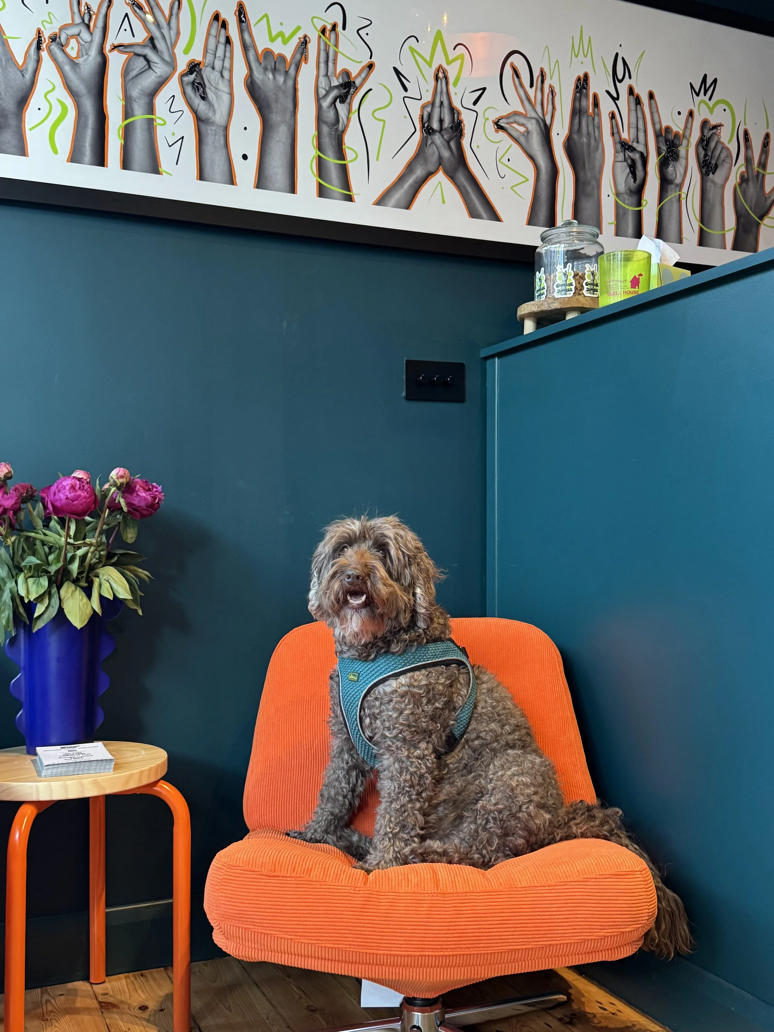 Hot Yoga Teddington | Heated Yoga Classes | Concrete Jungle Wellness ...