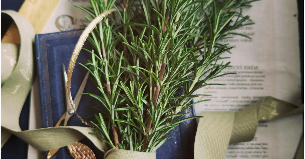 Rosemary: A Flavorful Herb for Gut Support 