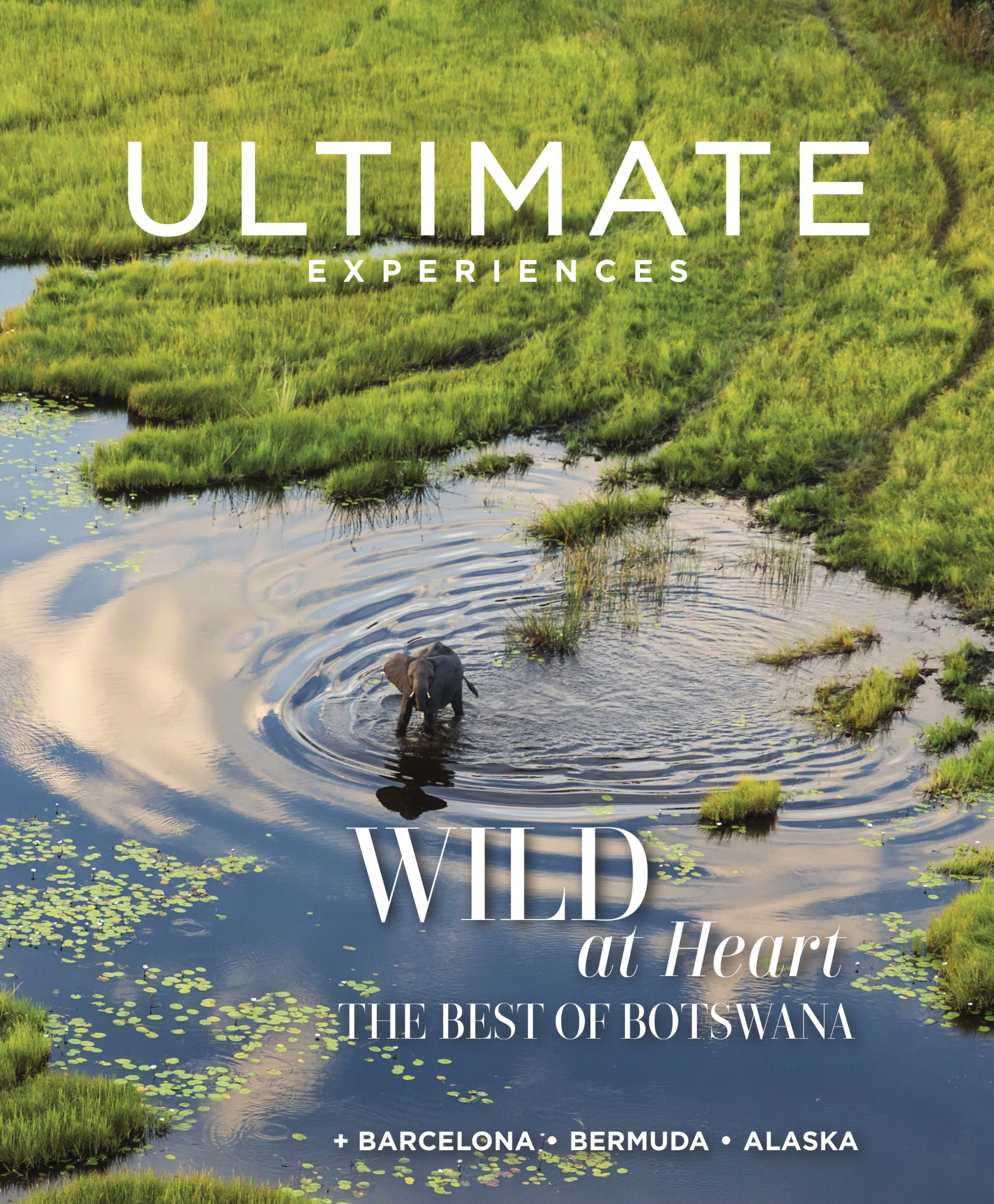 Screenshot 2026-02-09 at 10.50.57 AM.png