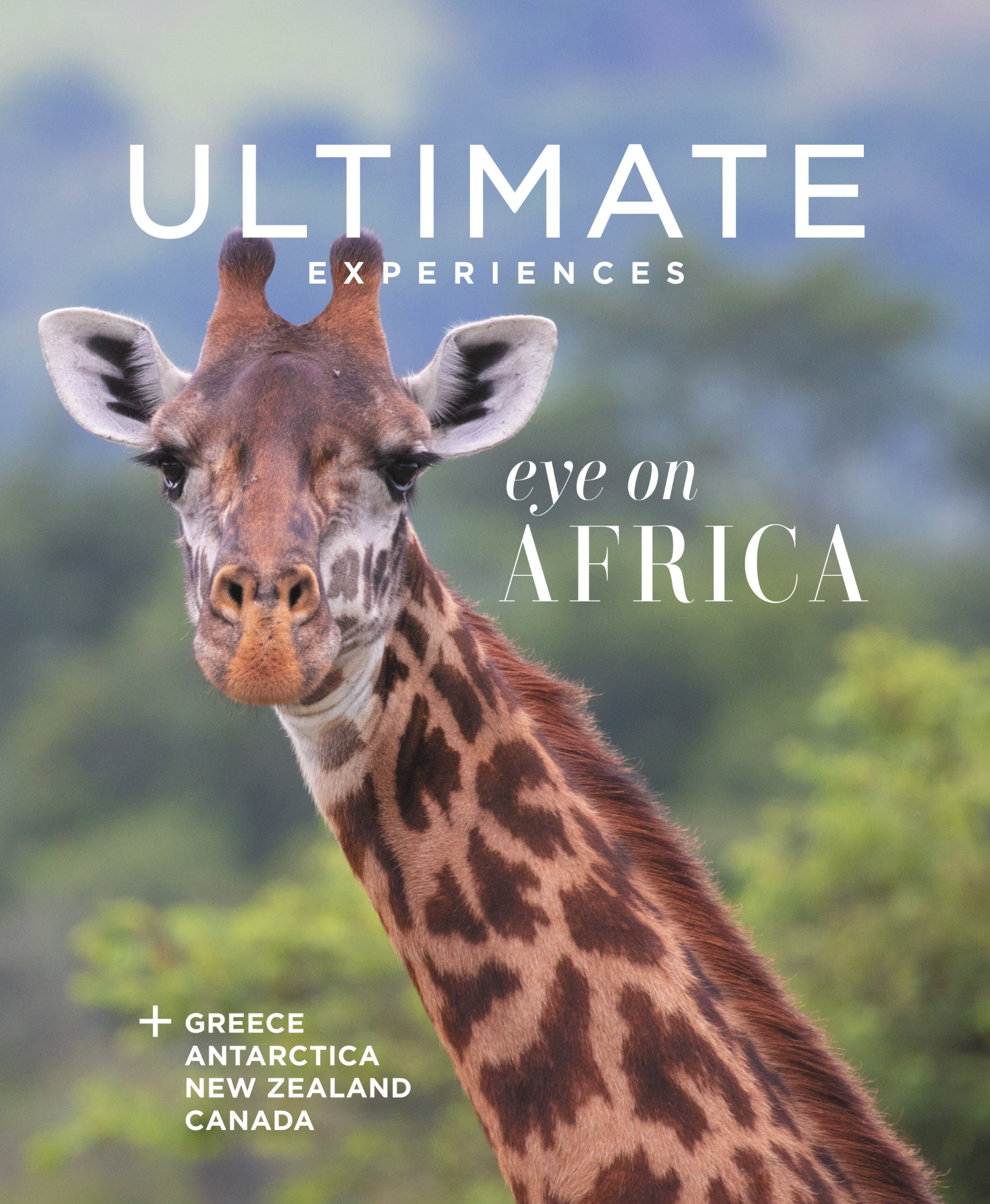 Screenshot 2026-02-09 at 4.12.16 AM.png