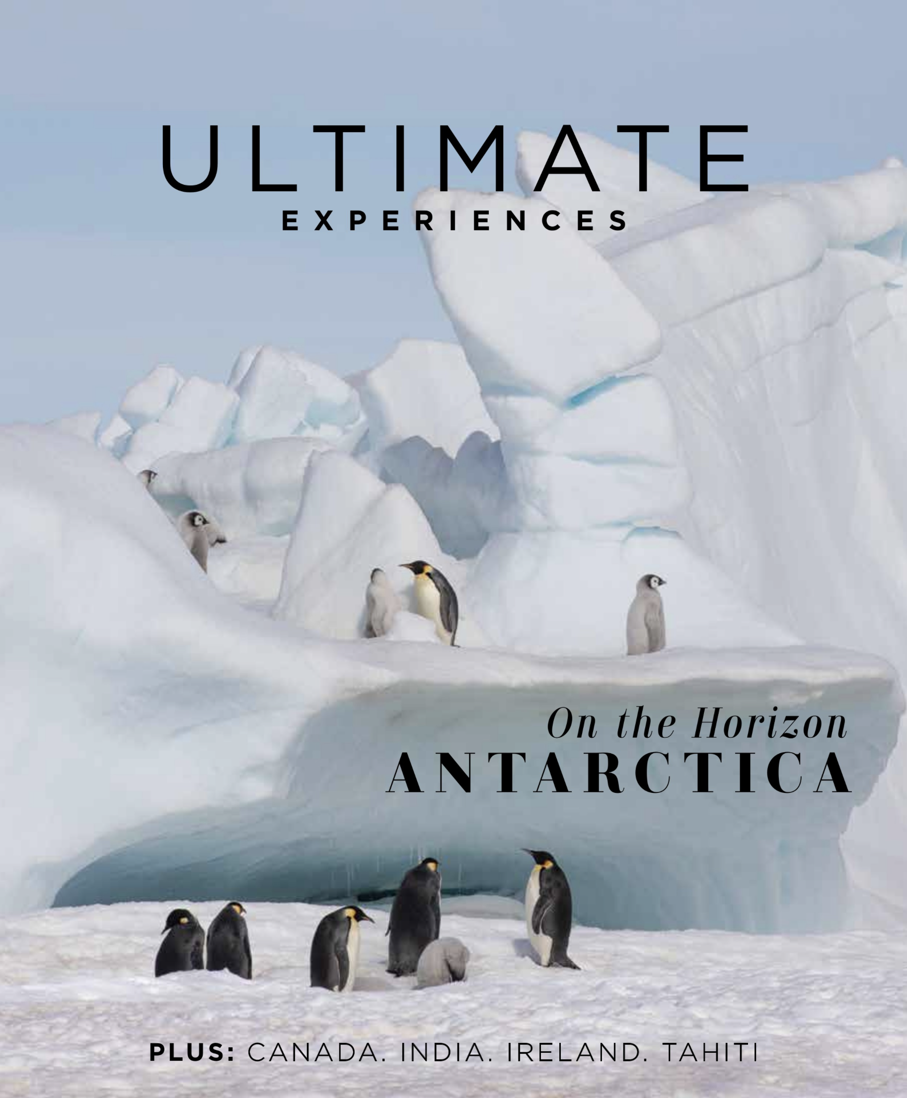 Screenshot 2026-02-09 at 4.13.13 AM.png