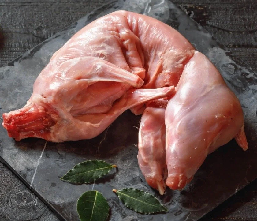 Rabbit