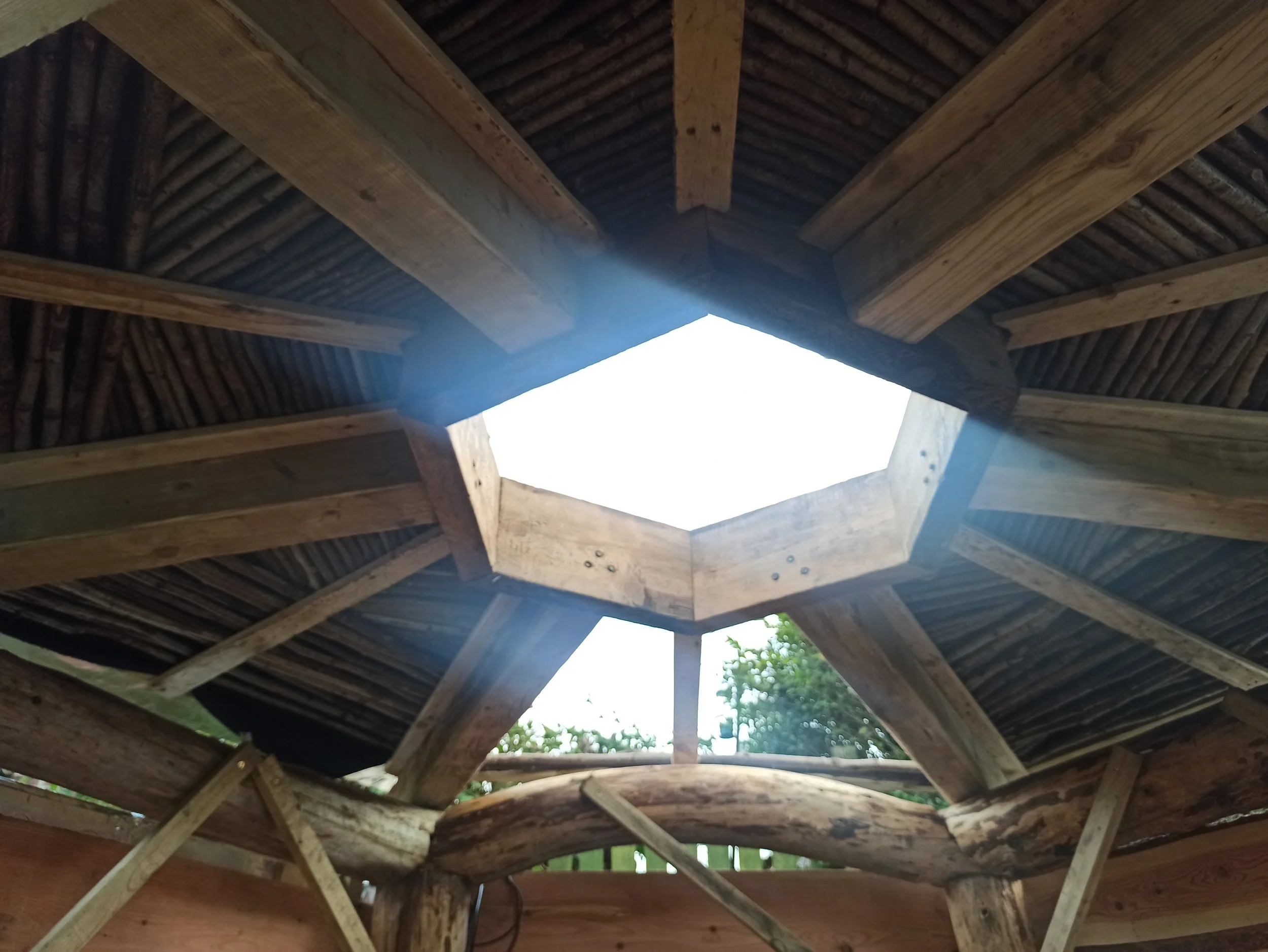 IMG_20241130_133754 (1).jpg