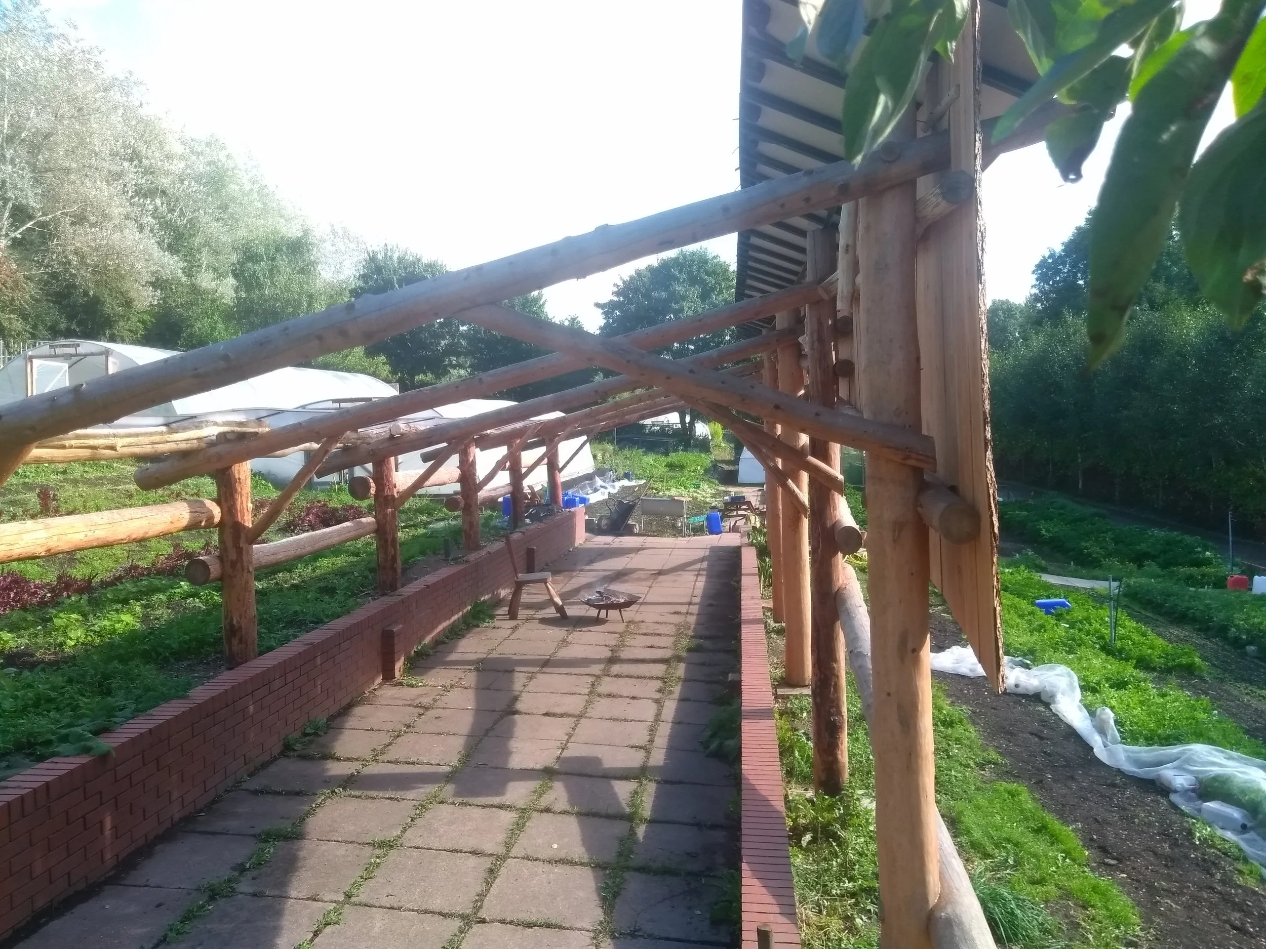 IMG_20211001_135931 (1).jpg