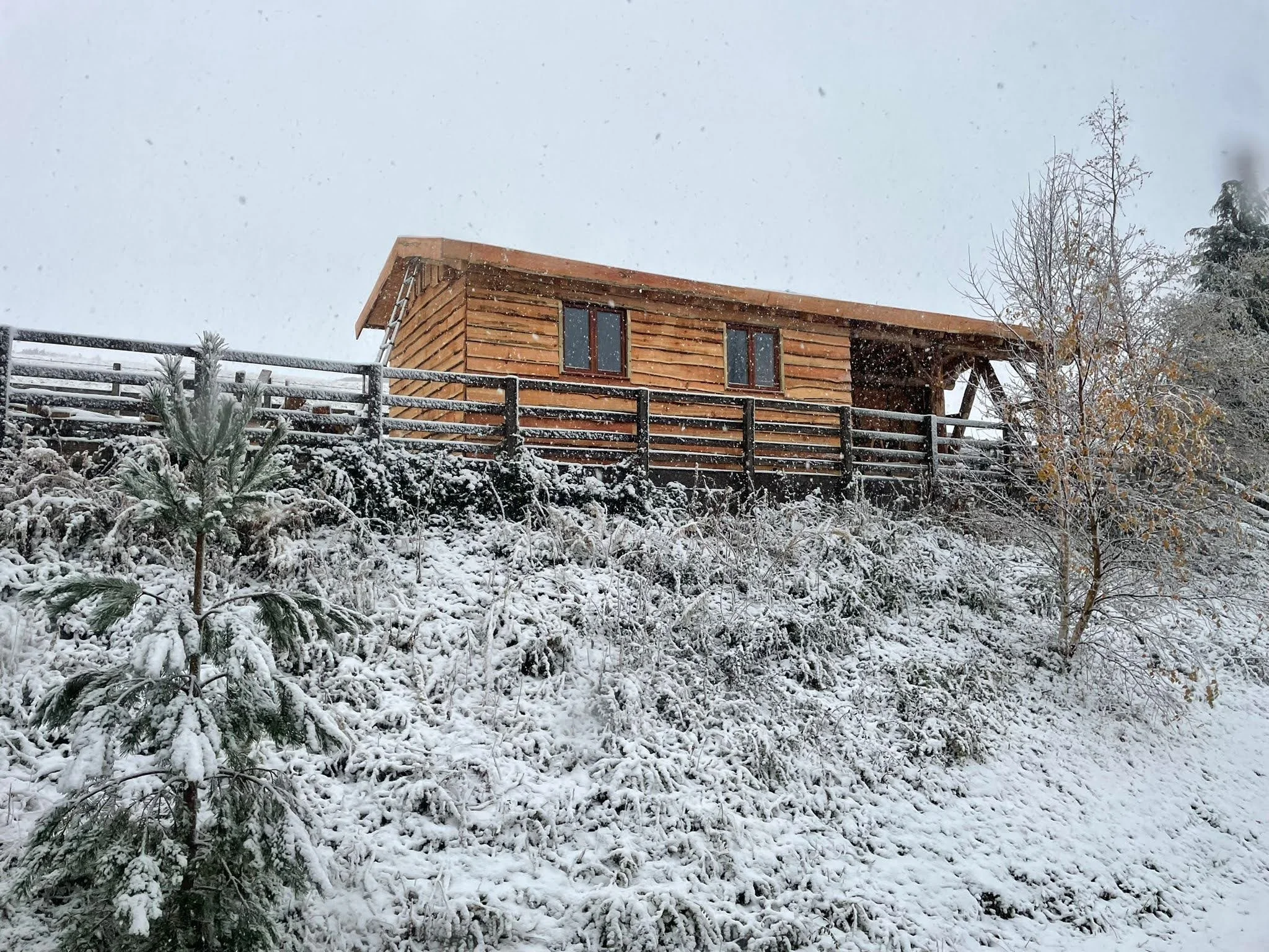 Scot Cruck Cabin - lower external.jpg