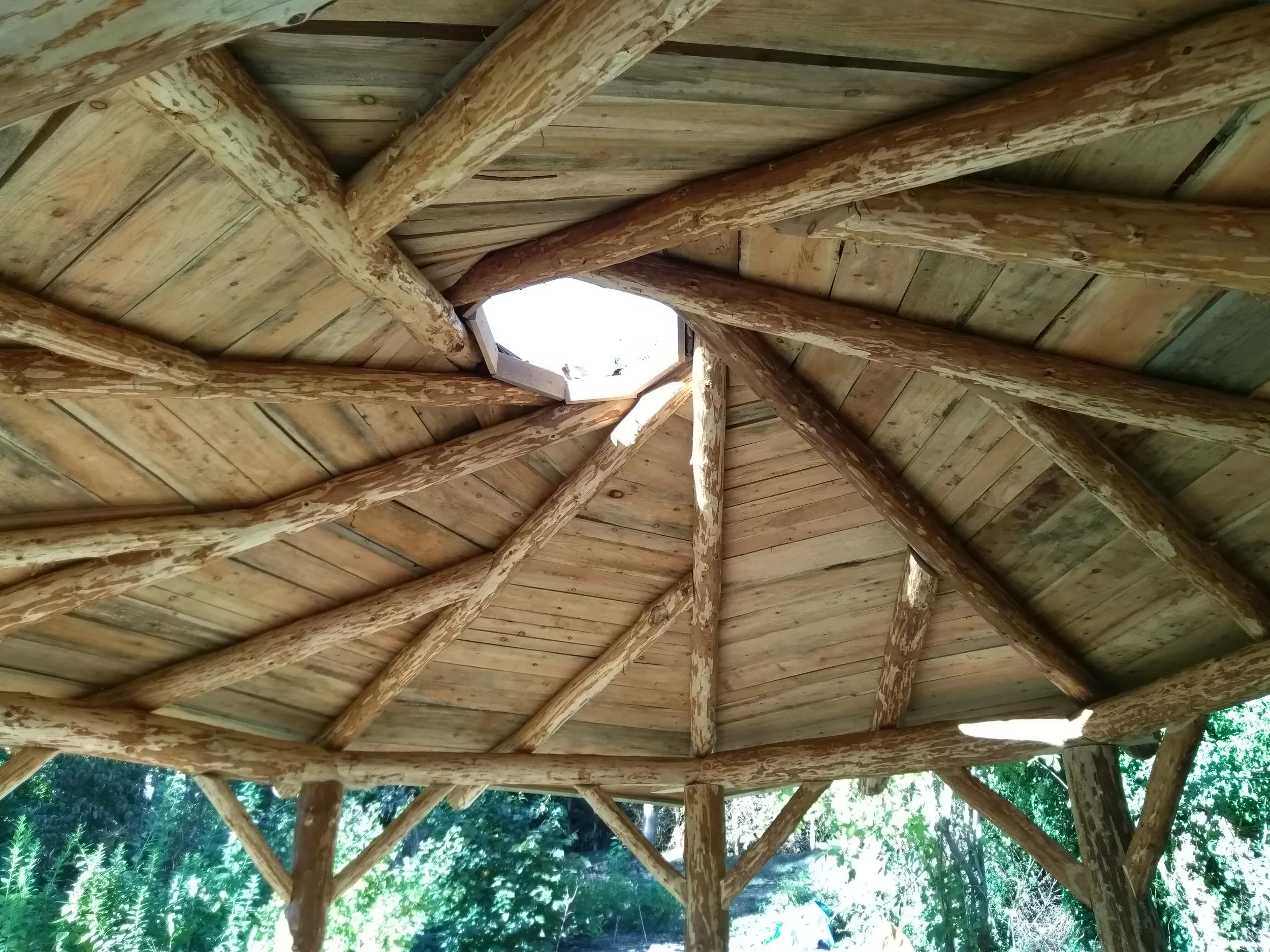 IMG_20180929_155901 (2).jpg