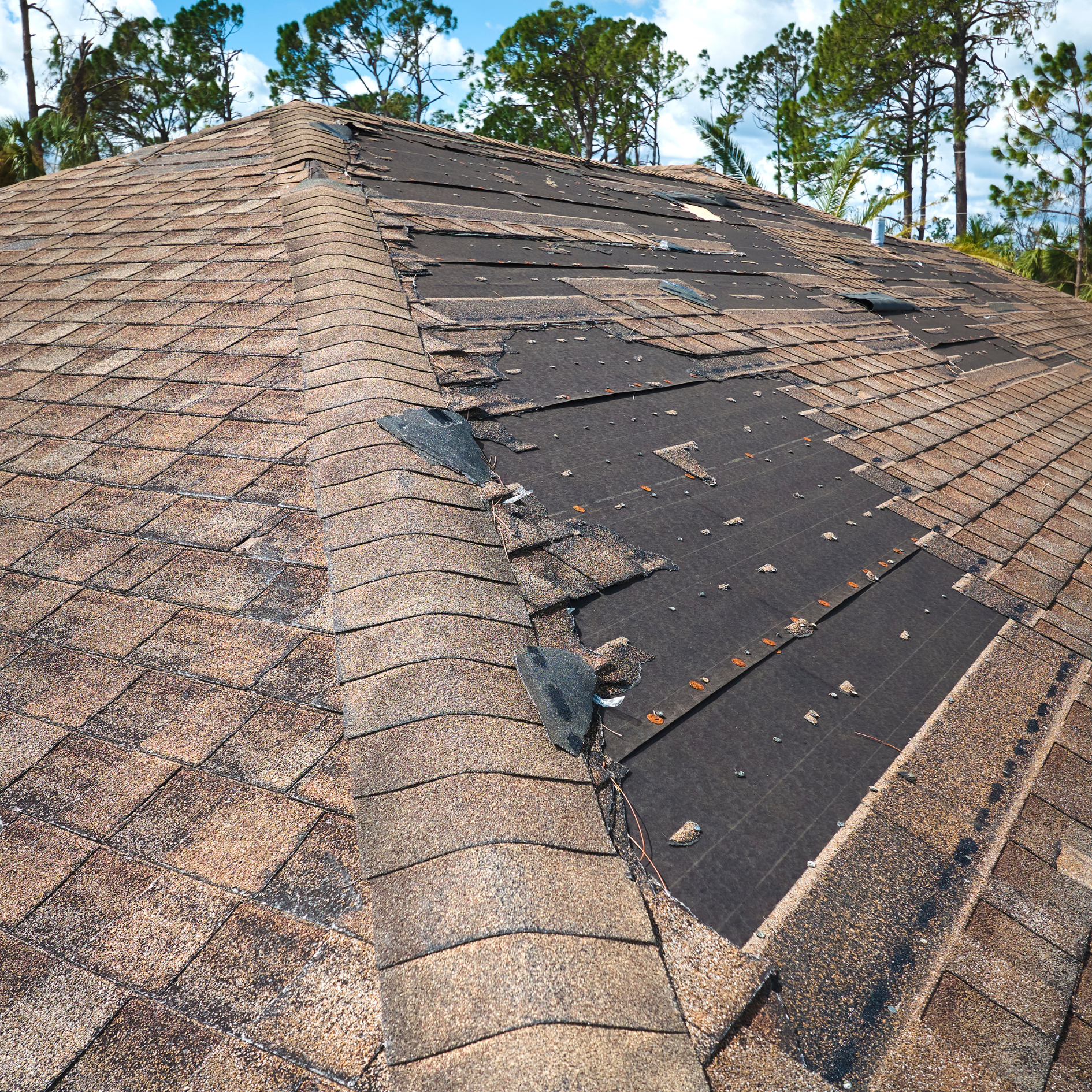Emergency roof repair and shingle replacement in Homosassa FL by Craig Fass Roofing.