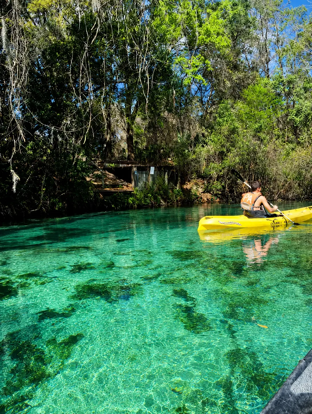 Weeki Wachee Springs in Weeki Wachee, FL, a familiar local area served by Craig Fass Roofing.