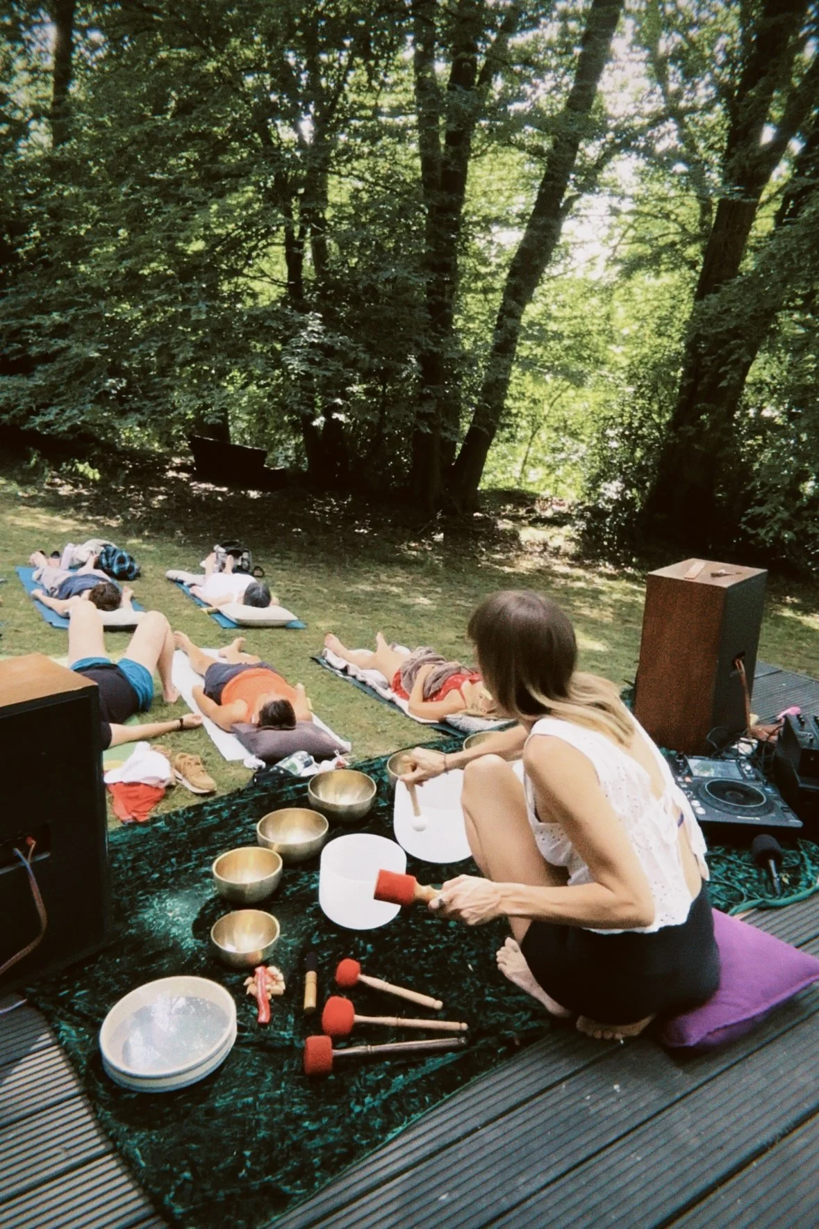Sound in the woods. Summer 2026.