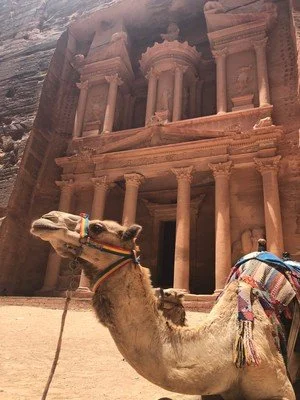 PetraTreasuryCamel.jpeg