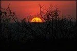 99005230-2e83-11ea-af80-85adc53d04c2.jpg