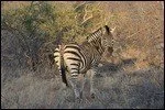 972e9b40-2e8a-11ea-b4b8-2d0b929461f5.jpg