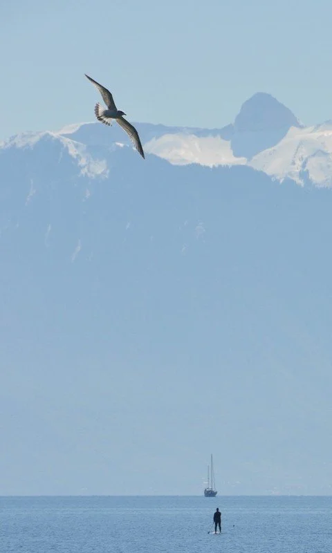 large_b5c26f60-2f4c-11ea-8750-65dbbe6acee3.jpg