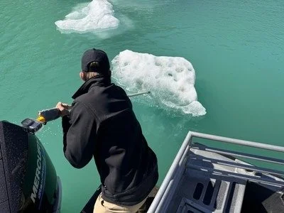 Chapter 13: Bubble Net Feeding Explained
