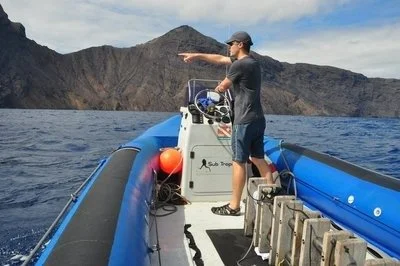 At Leisure with Whale Sharks and an English Breakfast