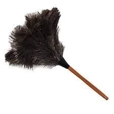From Peacock to Feather Duster