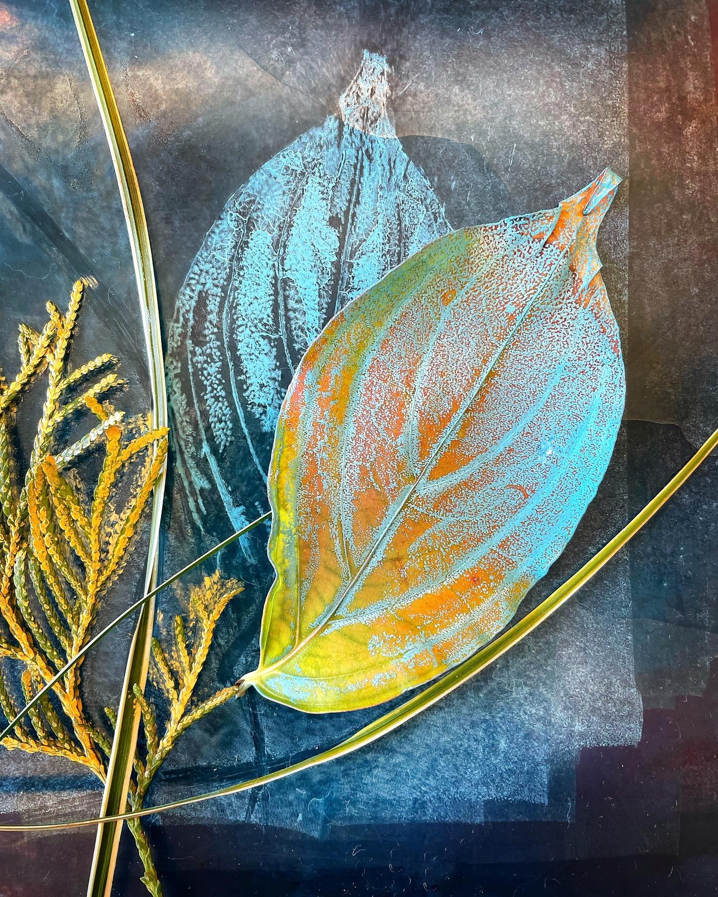 #scottfsmithstudio #mcguffeyartcenter @mcguffeyartcenter #photography #artphotography #stillifephotography