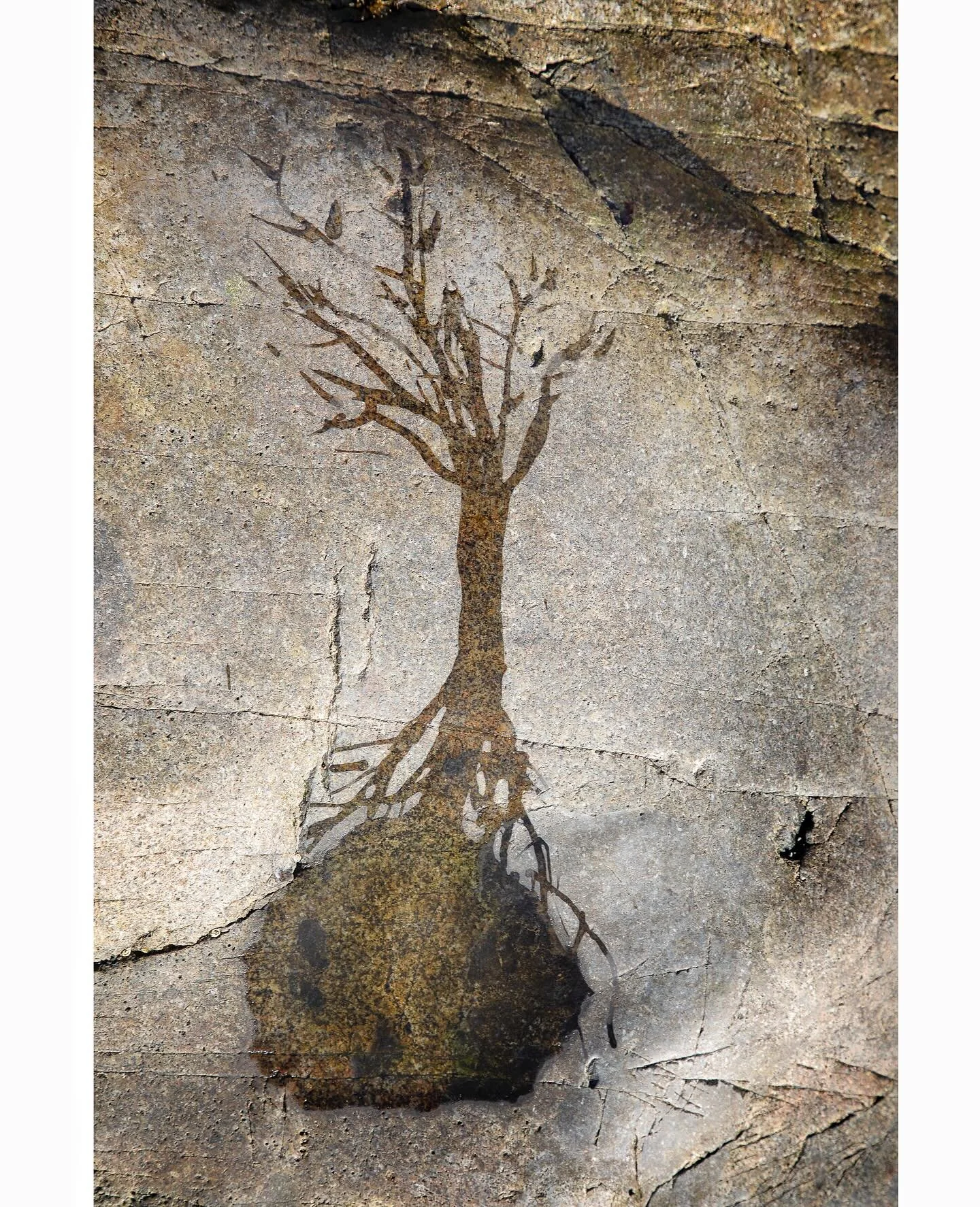 @mcguffeyartcenter #mcguffeyartcenter #scottfsmithstudio #photography #artphotography #landscapephotography #acadianationalpark #acadianationalpark❤️