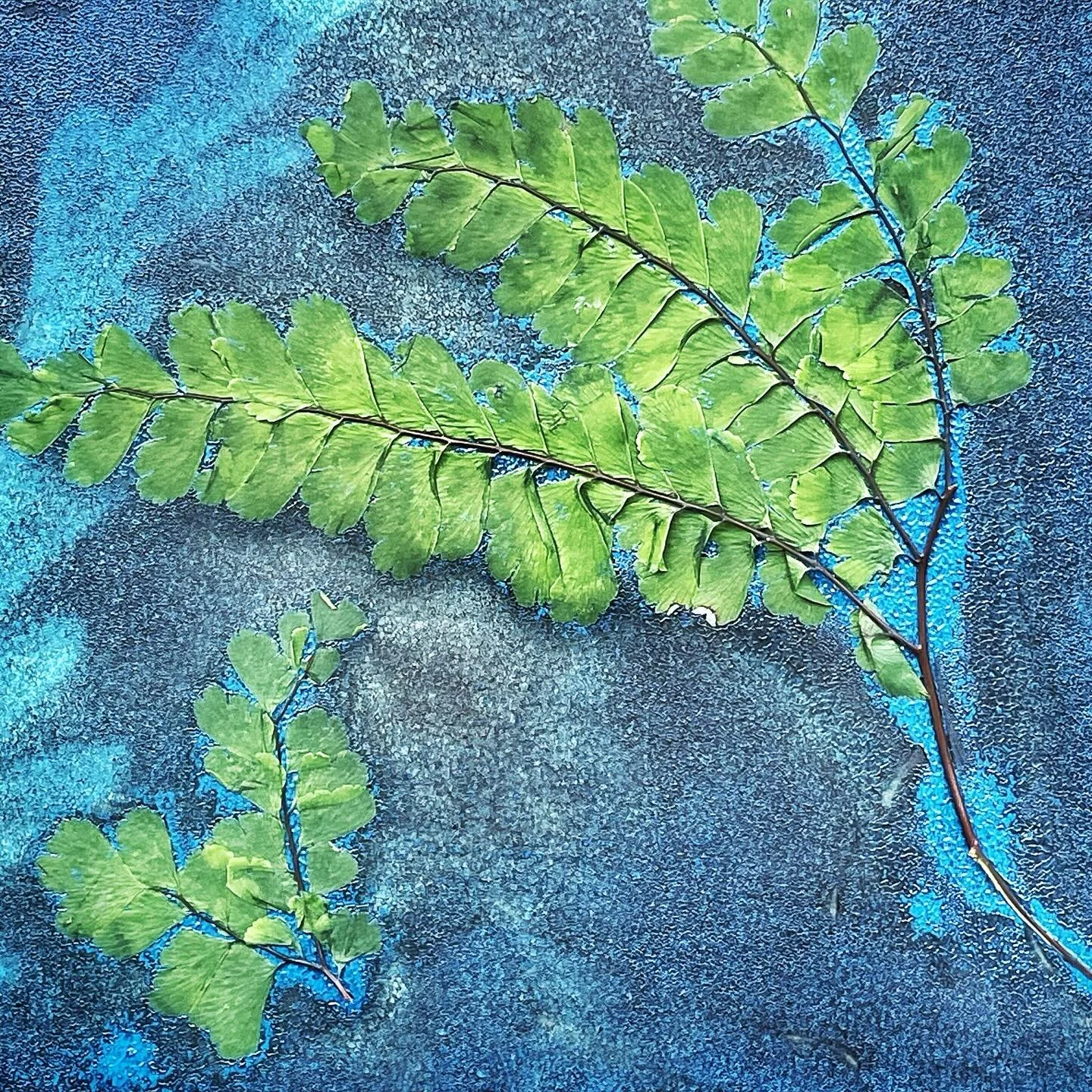 @mcguffeyartcenter #mcguffeyartcenter #scottfsmithstudio #photography #artphotographygallery