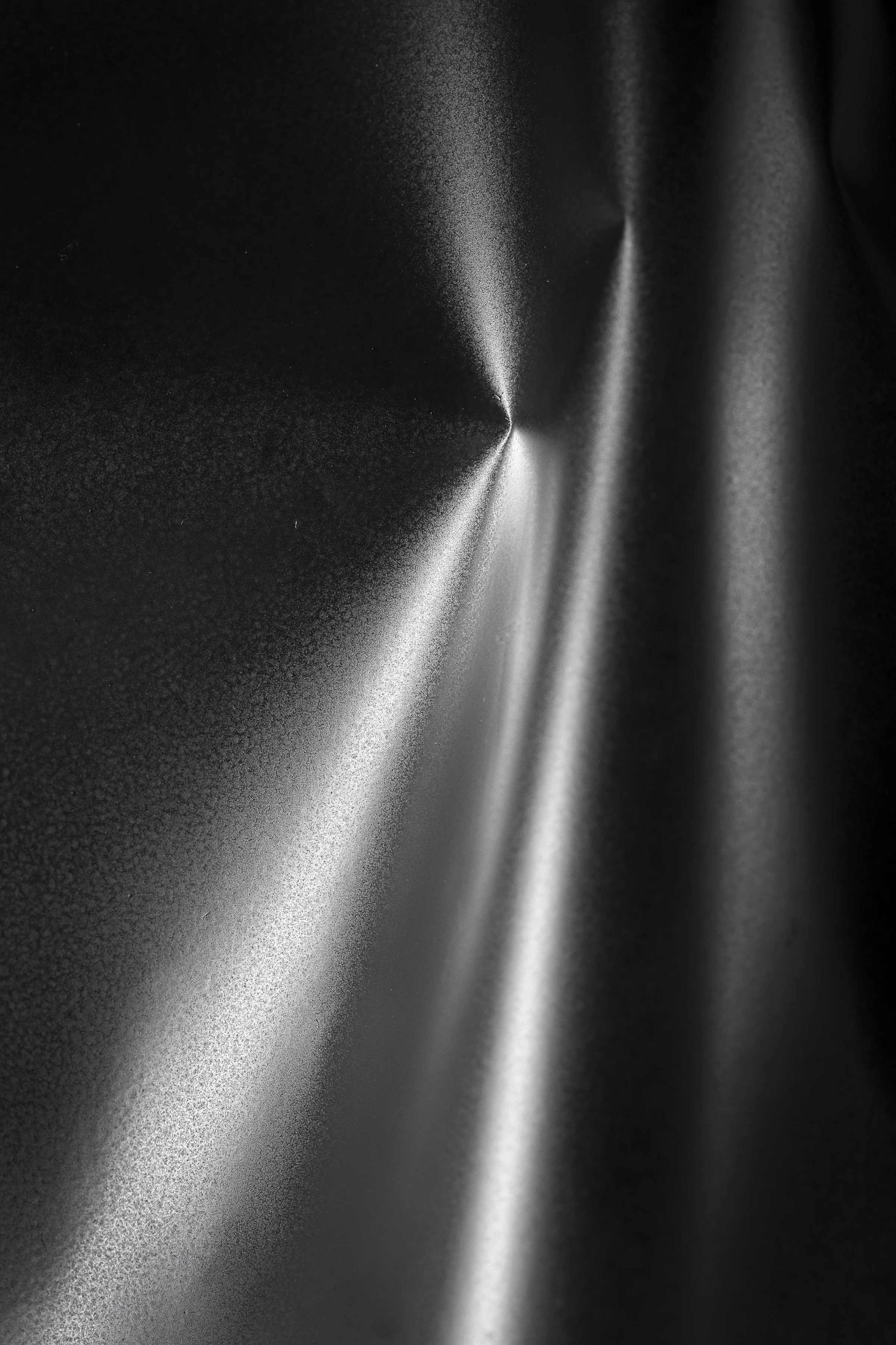 SFSmith_250305_3937 copy.jpg