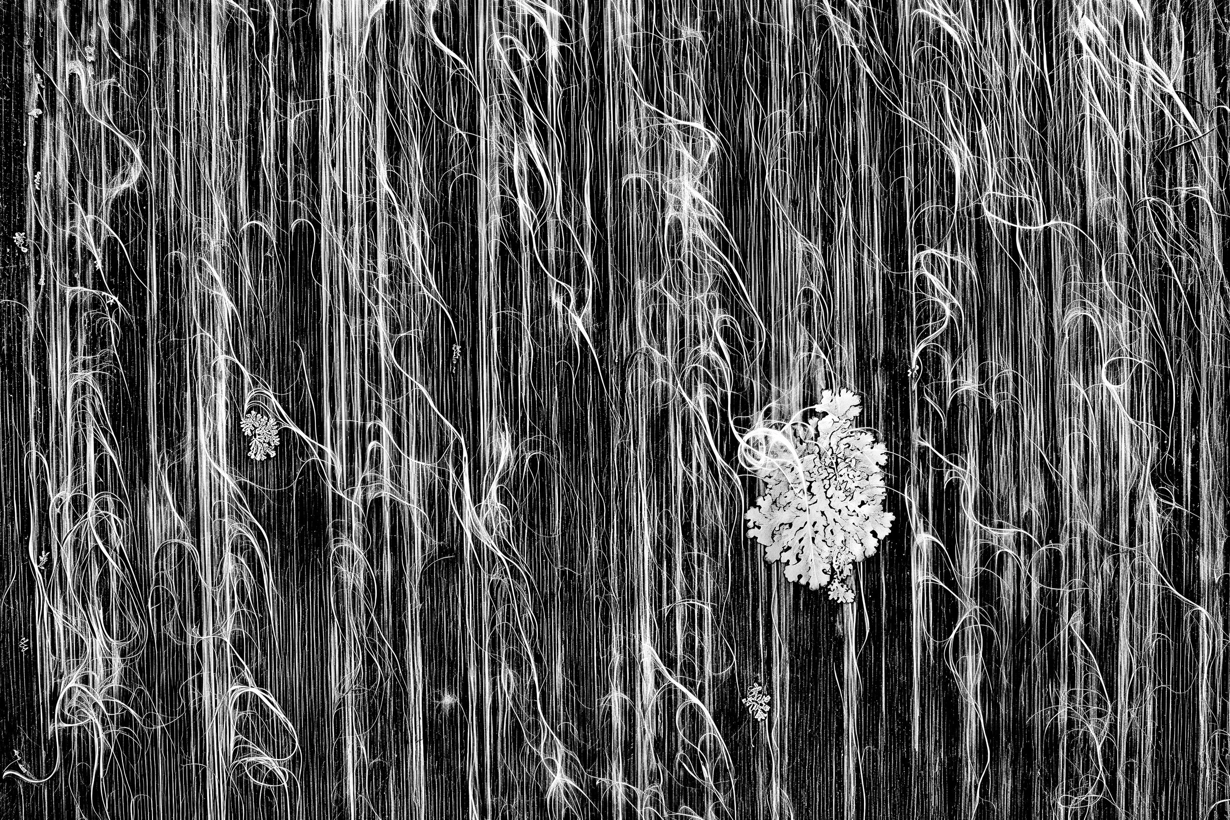  Undulation  