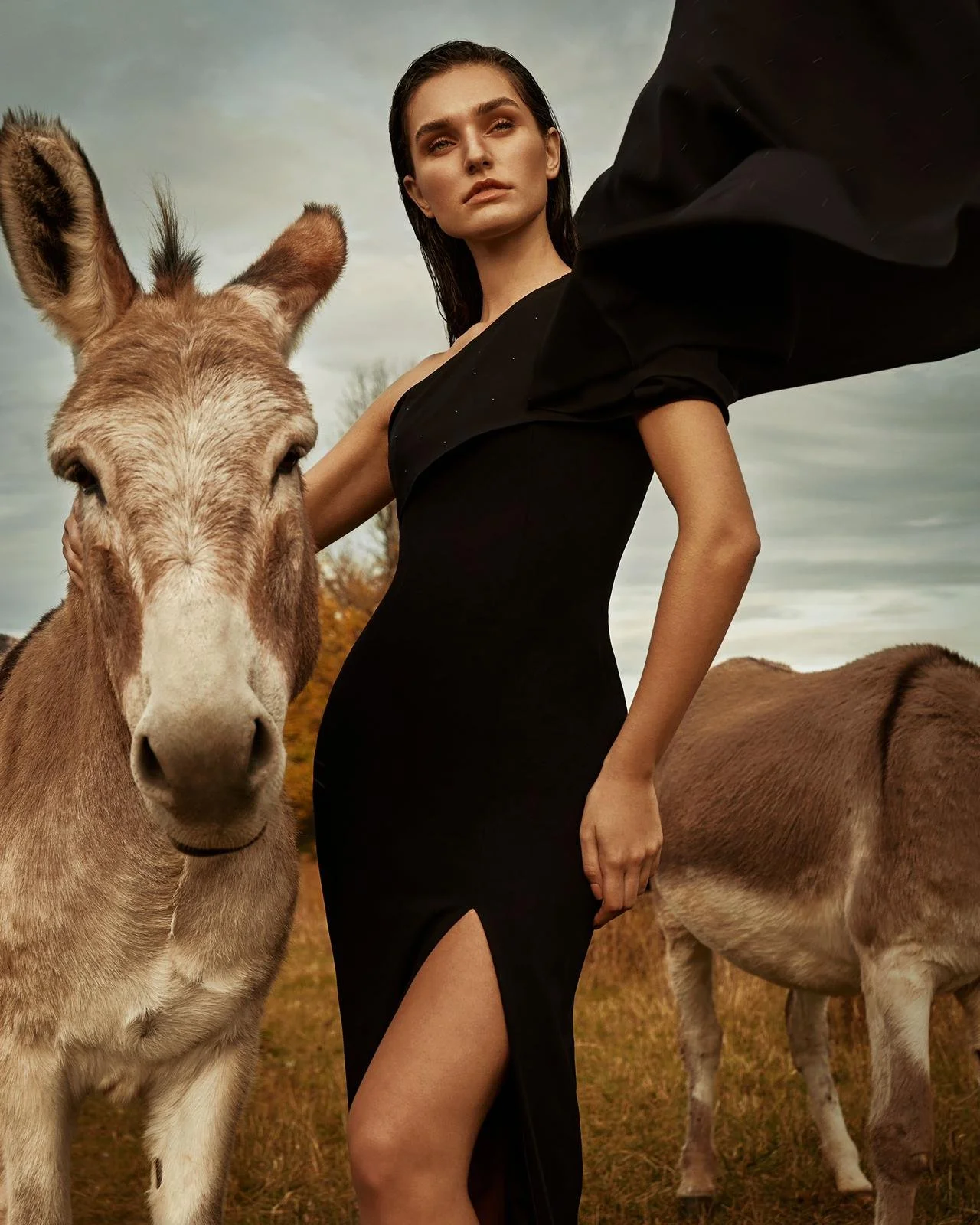 PHOTO-2020-12-17-12-12-10 2.jpg