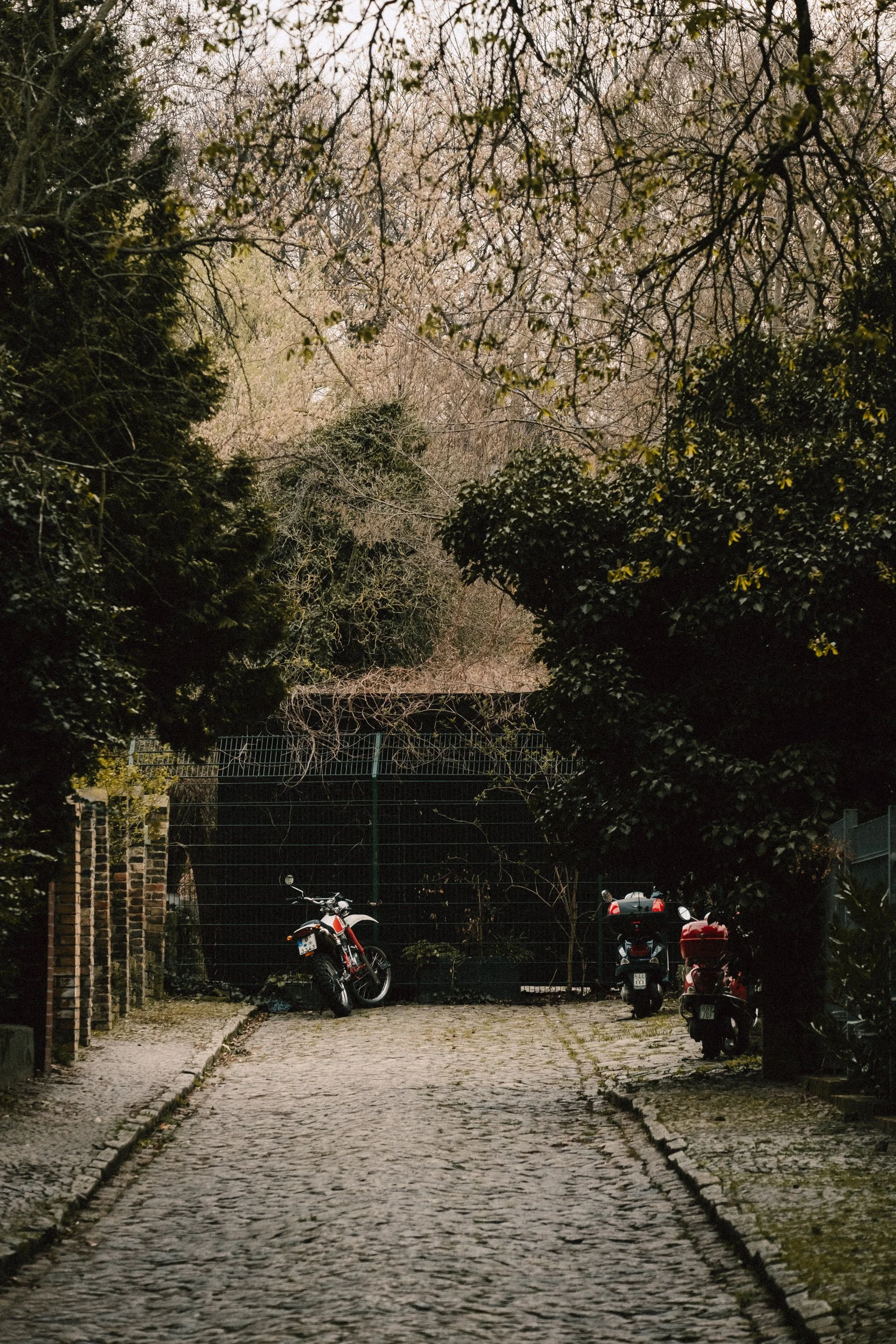 Landscape 2.jpg