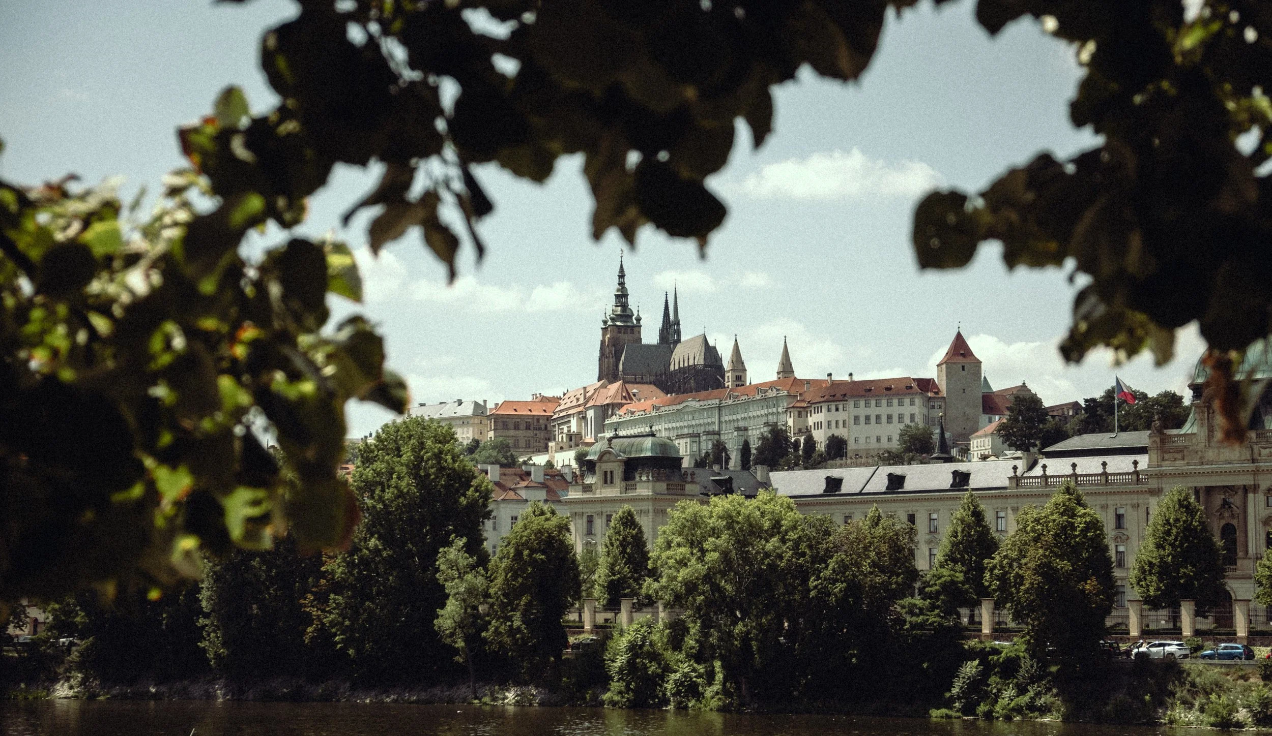 DSCF2144.jpg