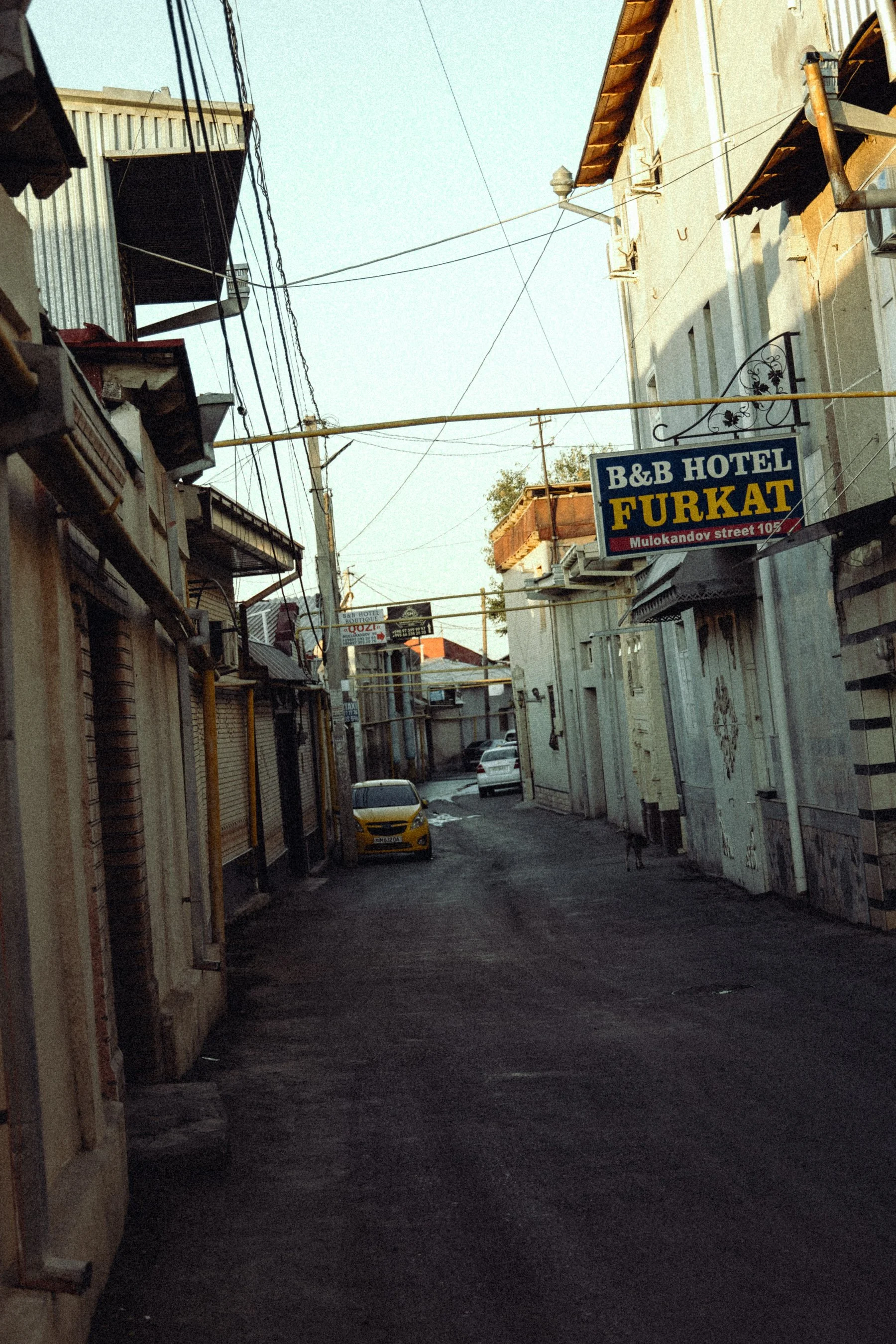 J29A0952.jpg
