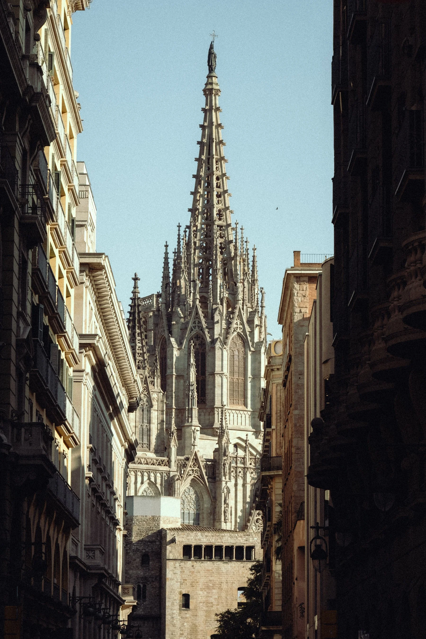 DSCF3816.jpg