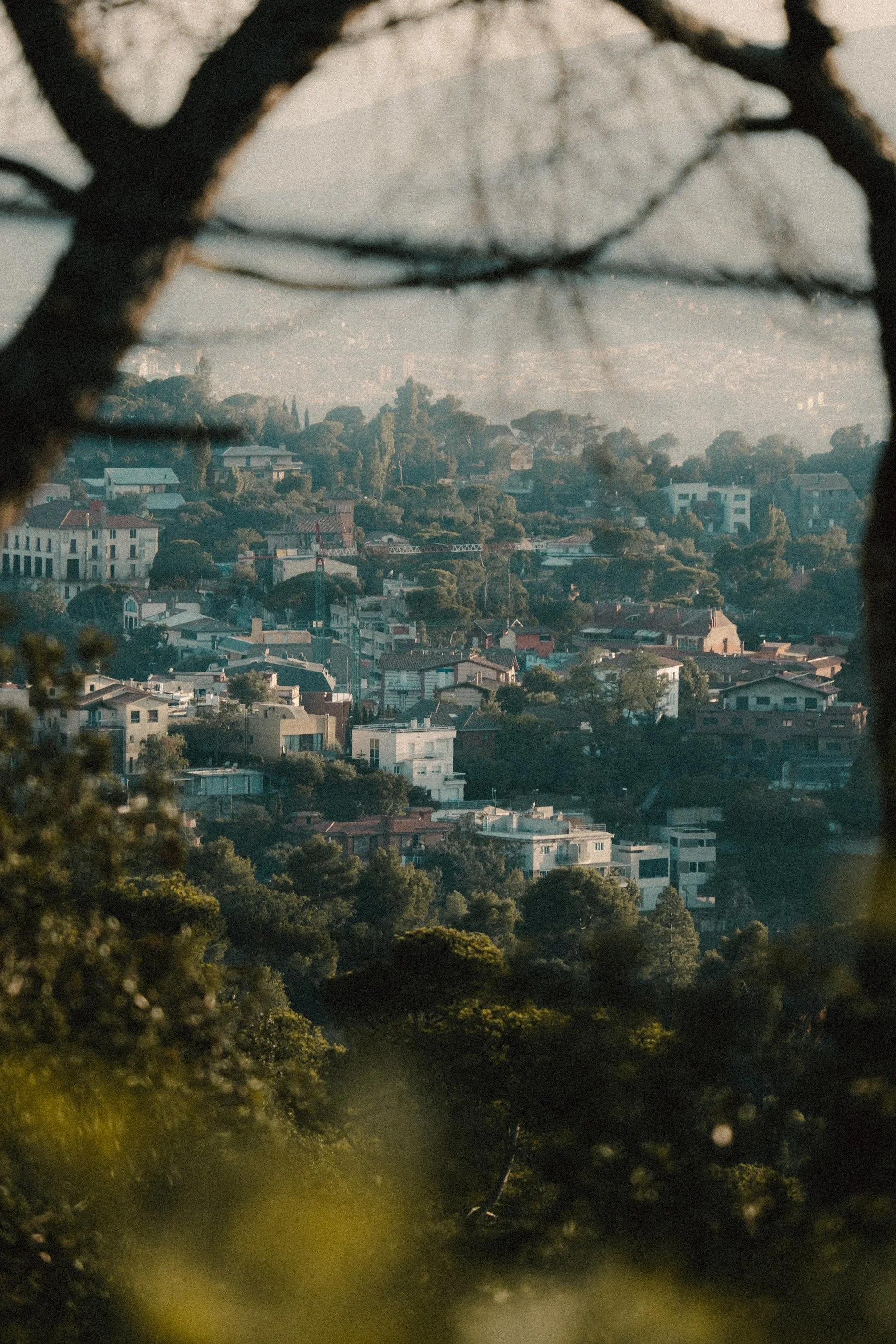 Landscape 11.jpg