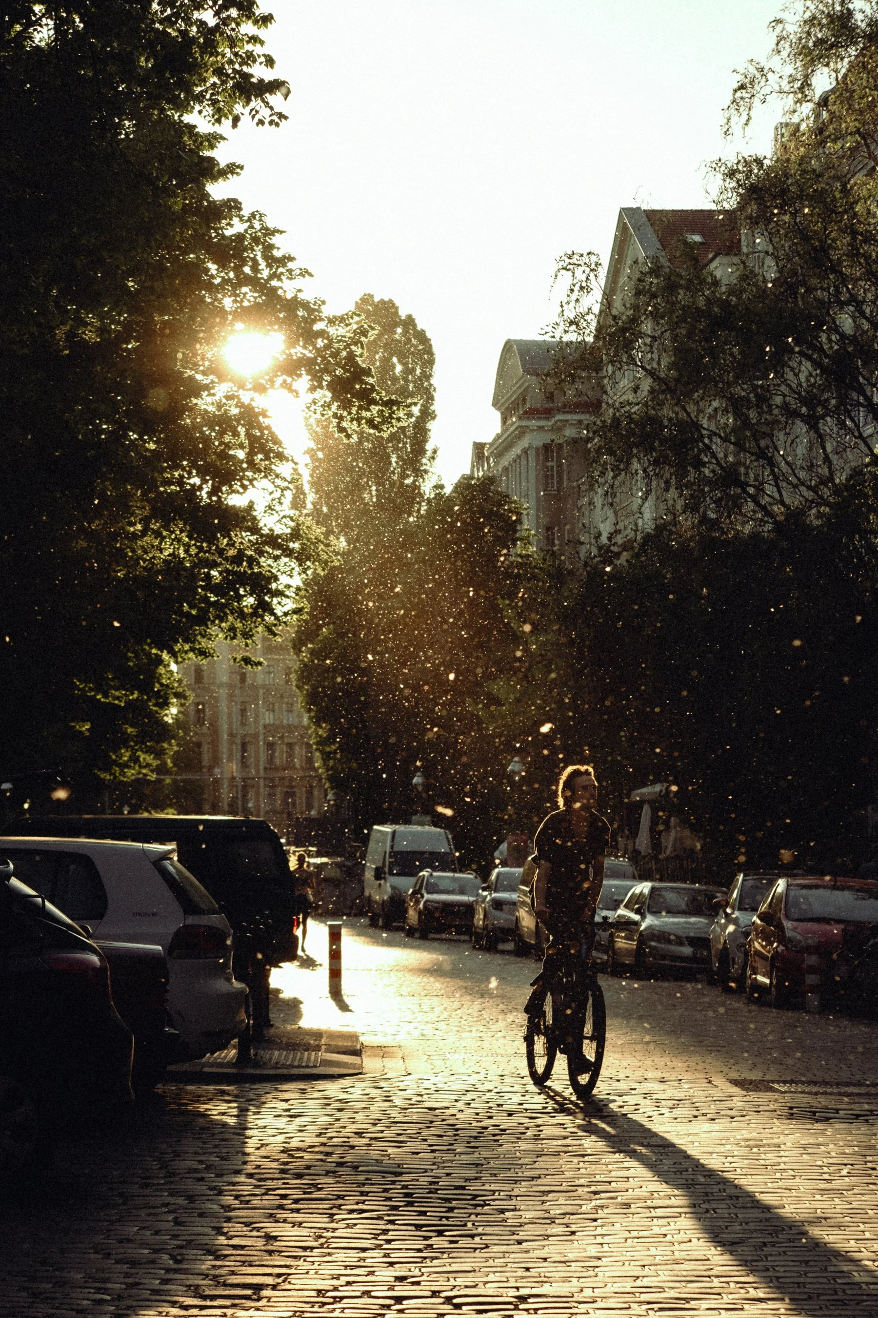 DSCF9179.jpg