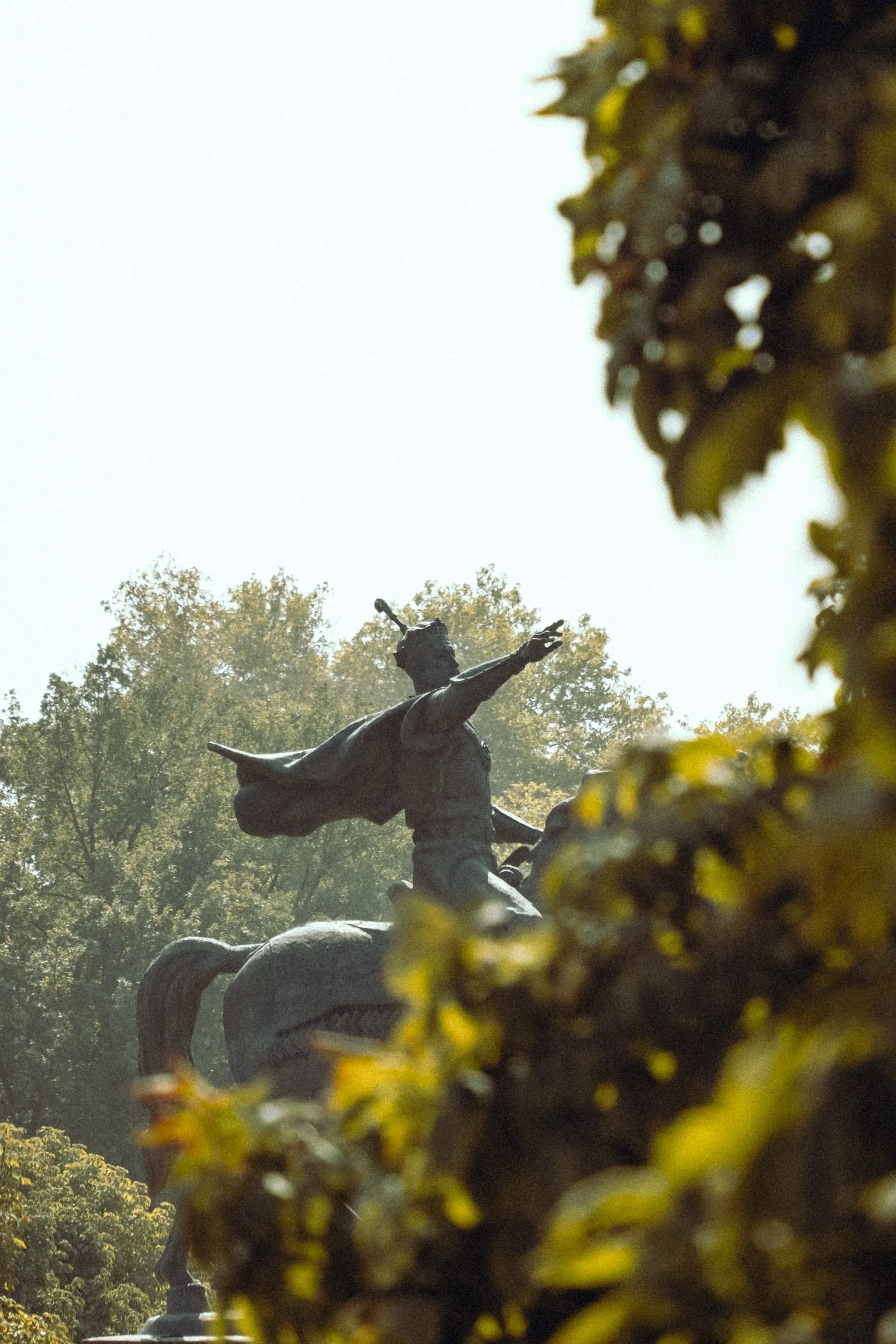 DSCF1555.jpg