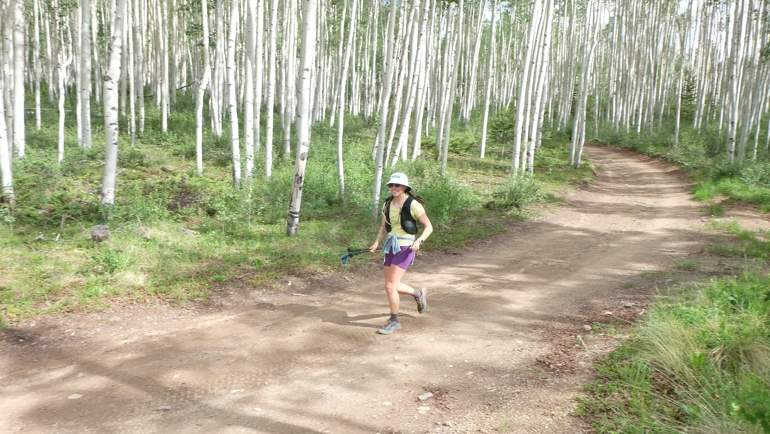 10091.webp