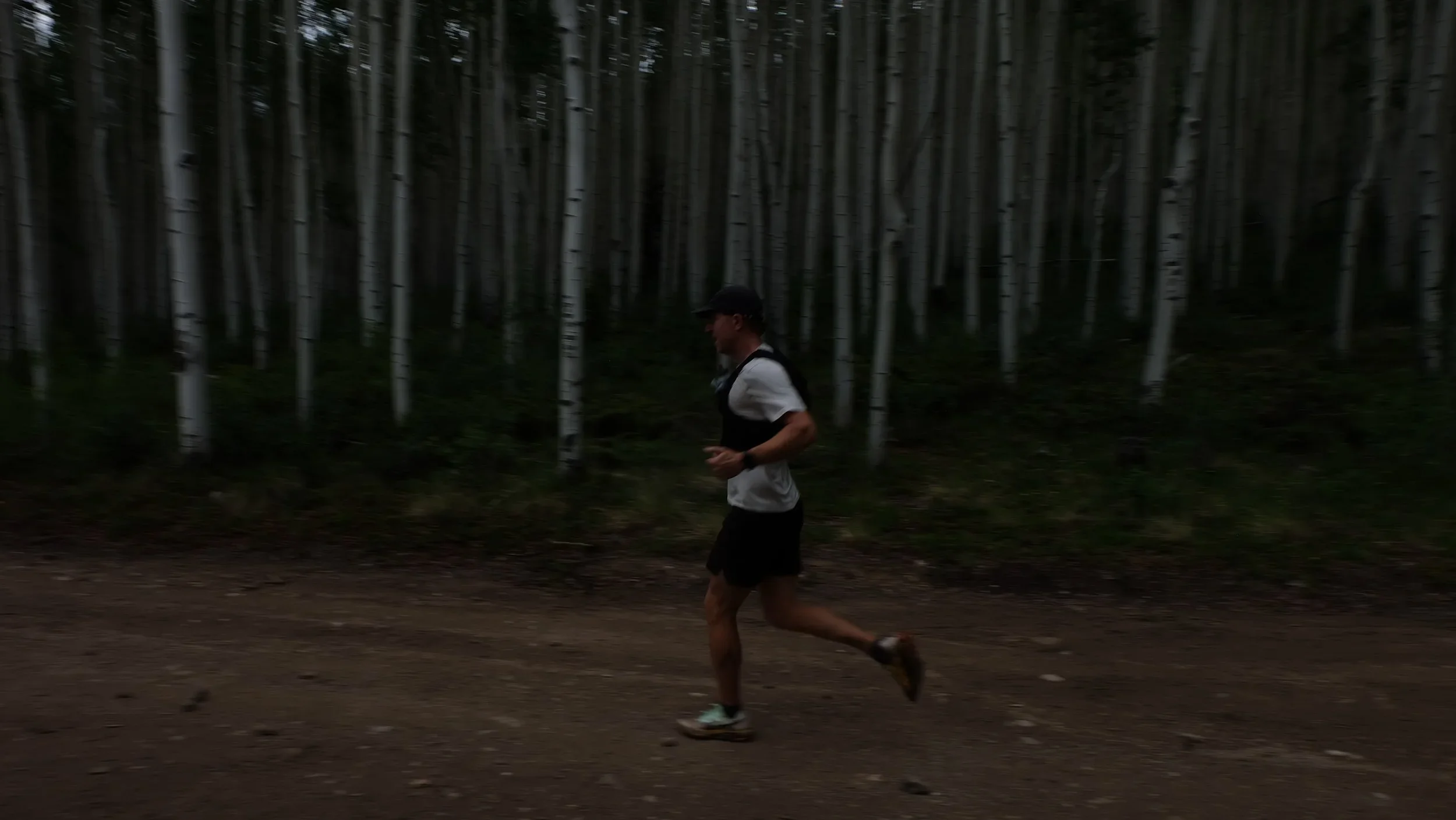 10049.webp