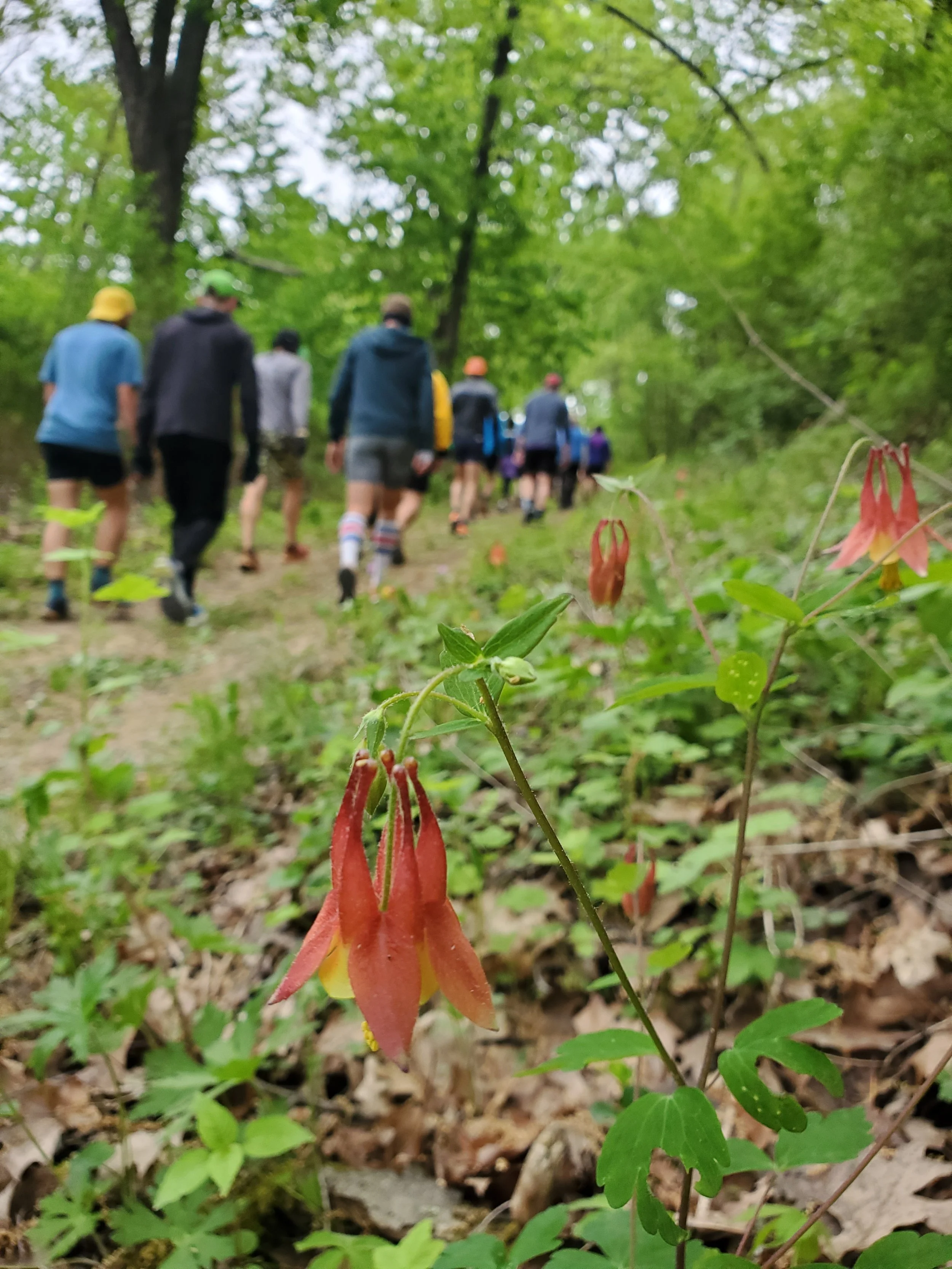 Rumble on the Ridge: A Driftless Endurance Backyard Ultra!