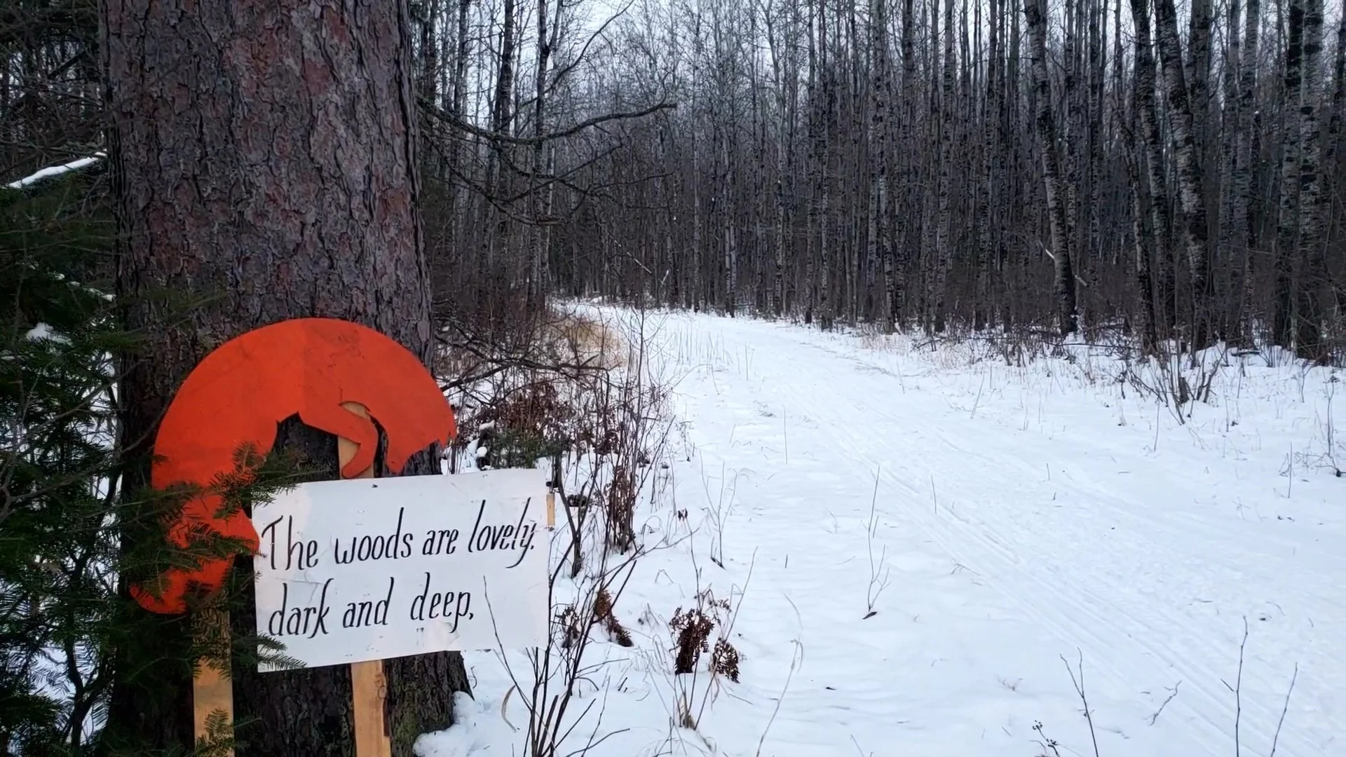 VideoCapture_20250120-214542.jpg