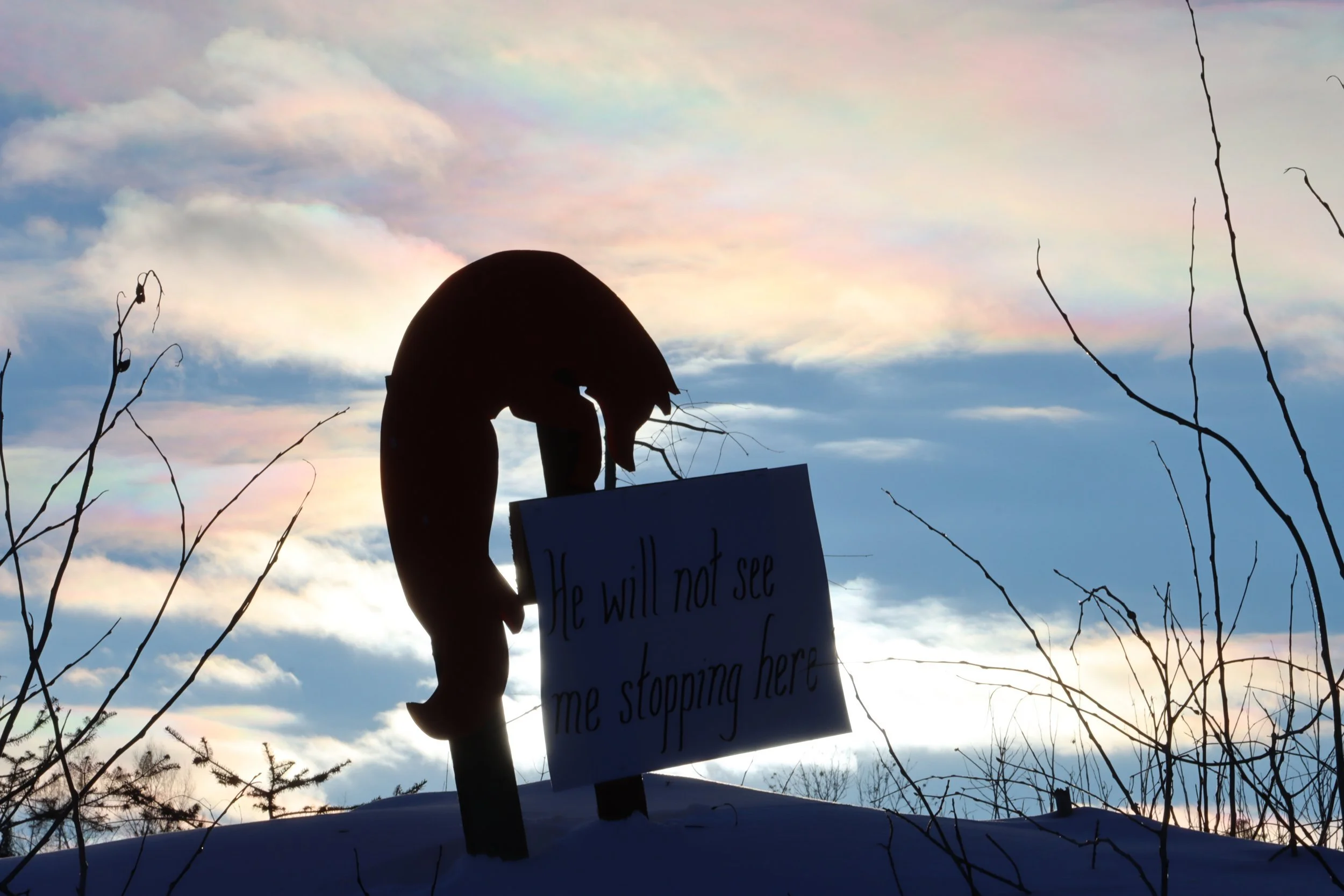 He Will Not See Me Stopping Here.JPG