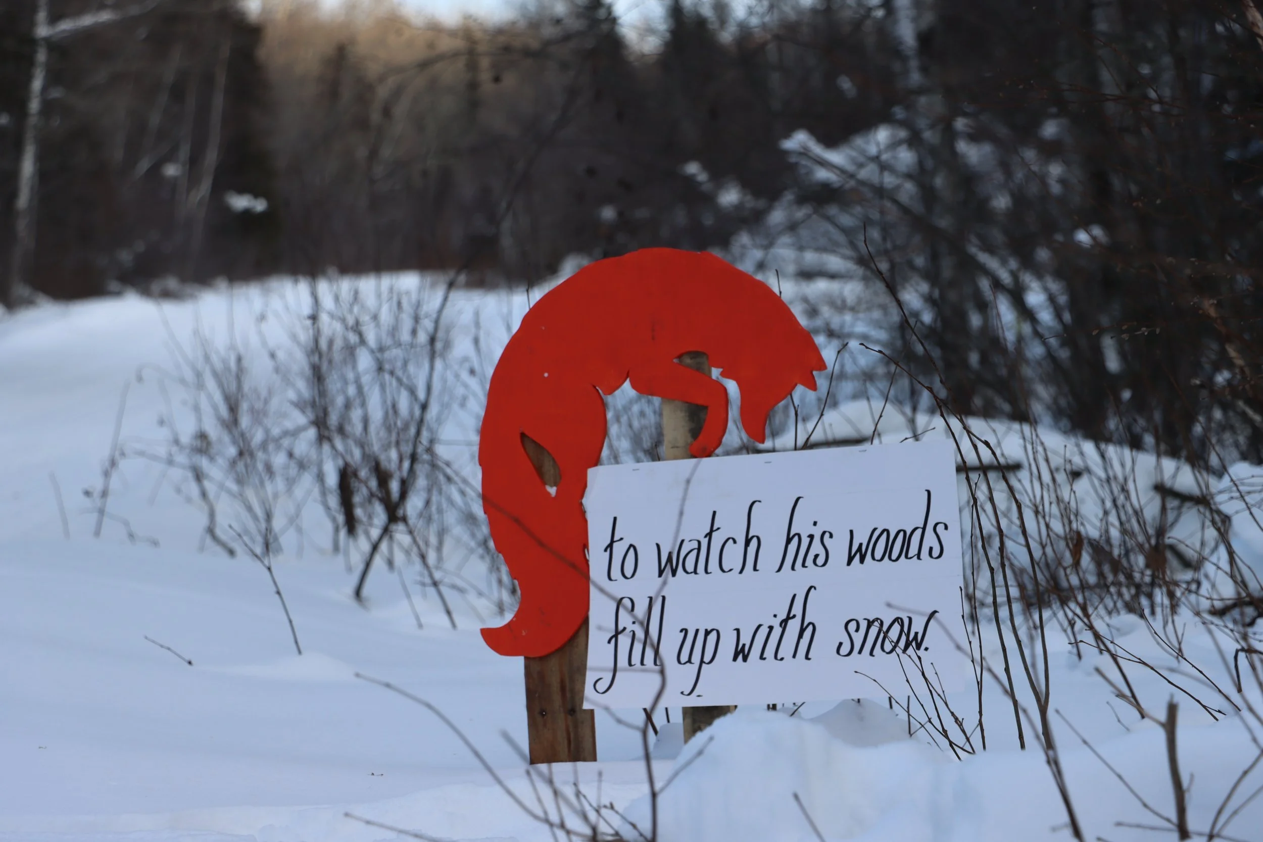 To Watch His Woods Fill Up With Snow.JPG