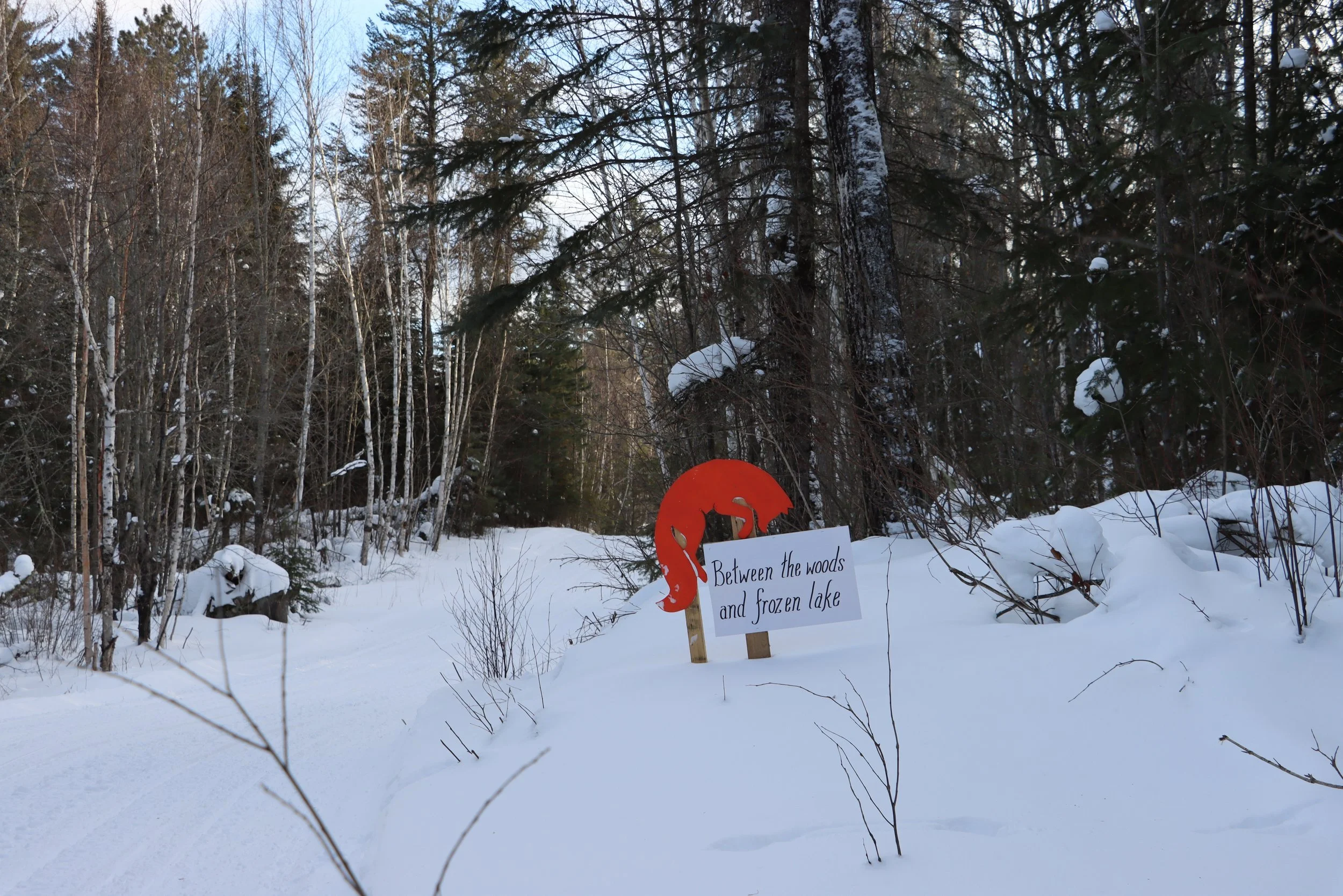 Between The Woods & Frozen Lake.JPG