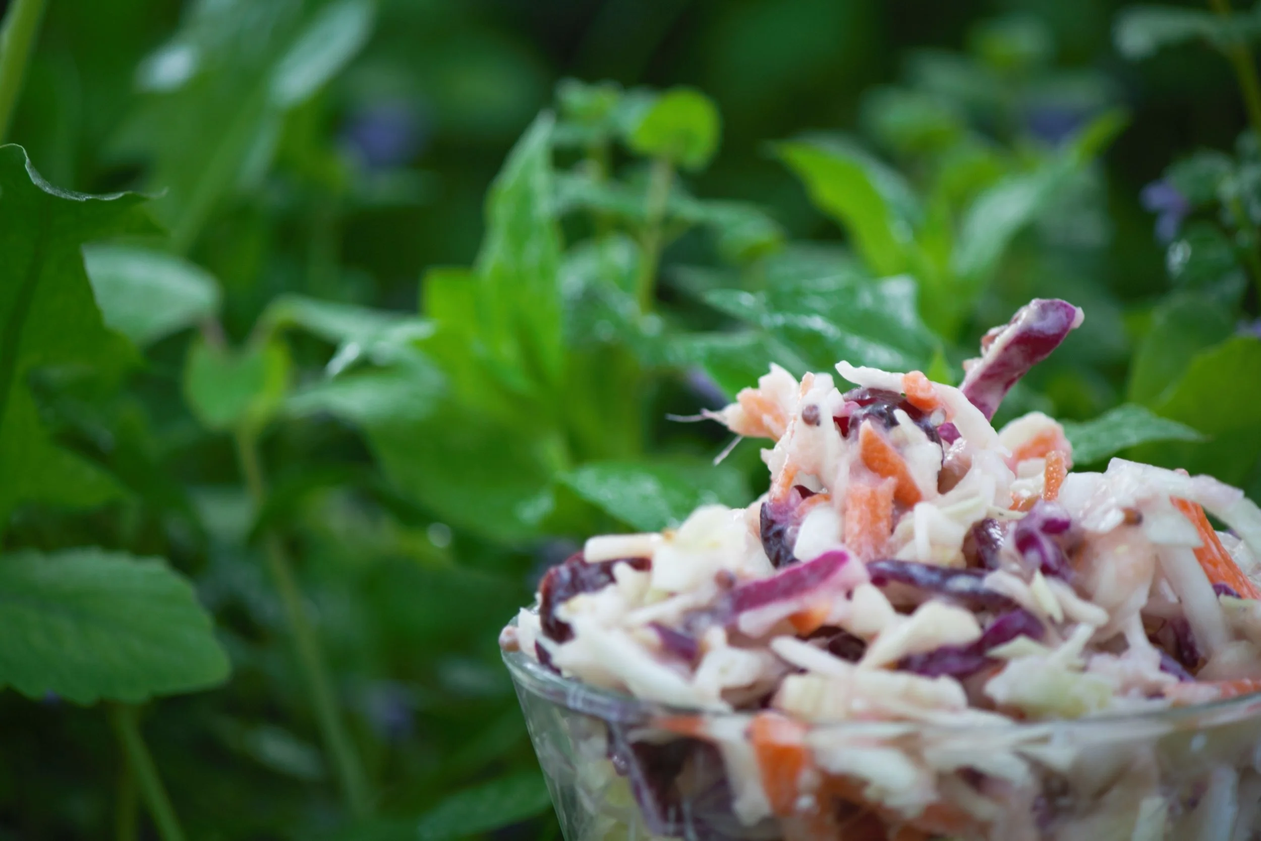 Summertime Maple Slaw