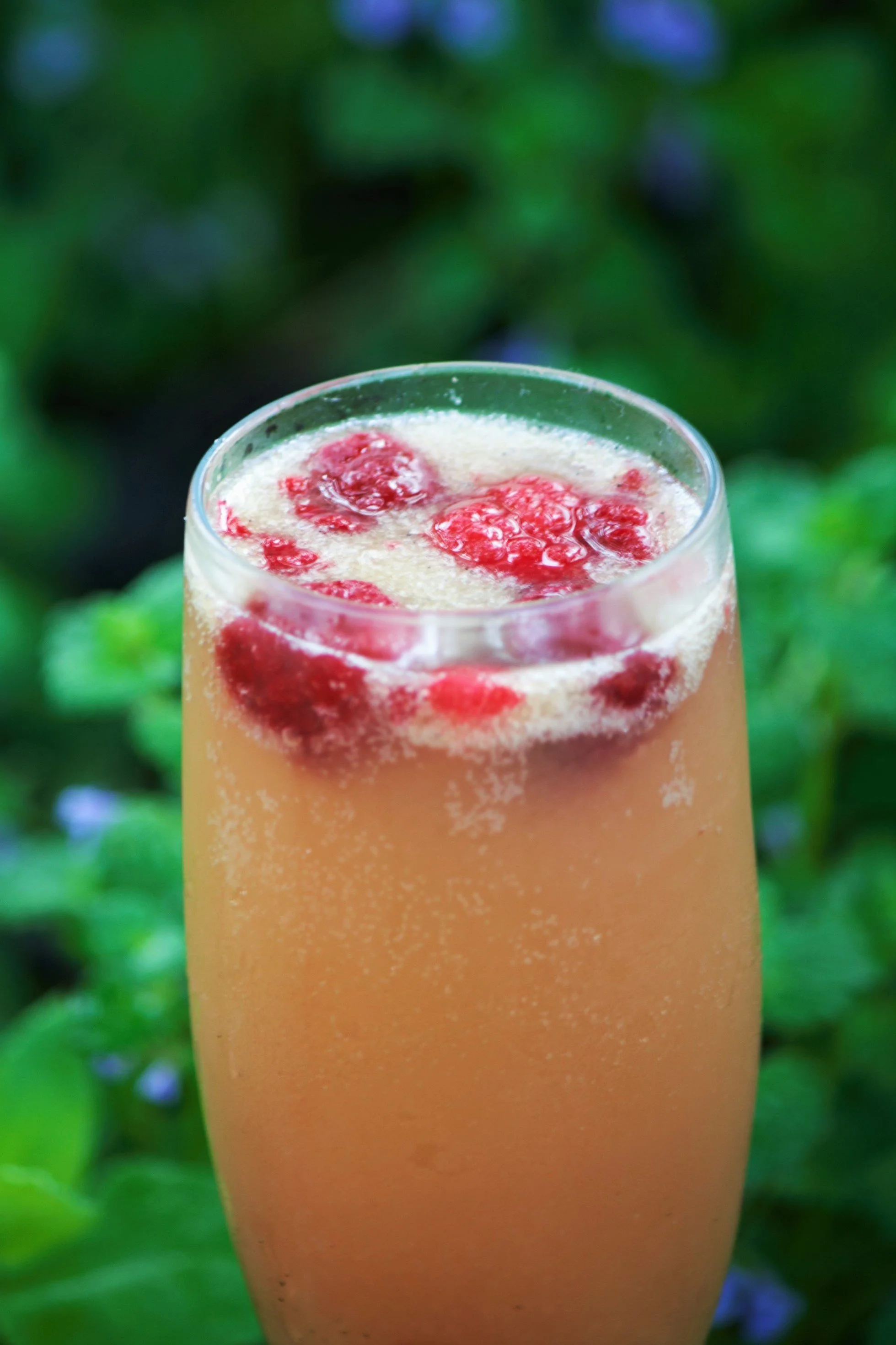 Rhubarb-Maple Gin Fizz